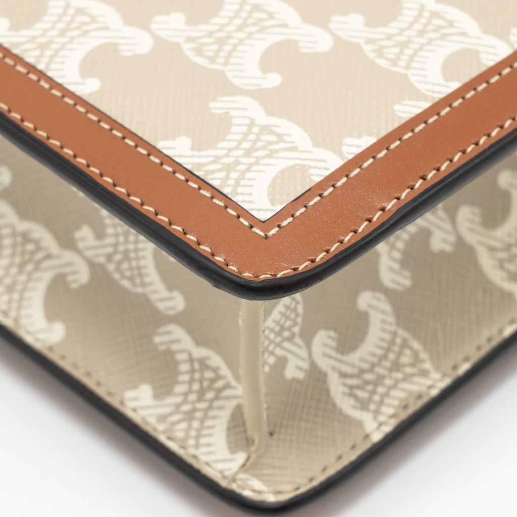 celine-envelope-bag-in-triomphe