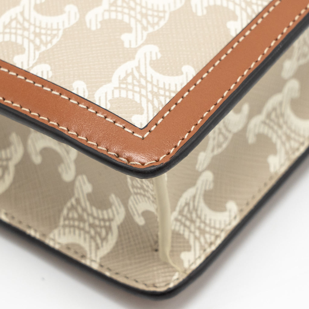 celine-envelope-bag-in-triomphe