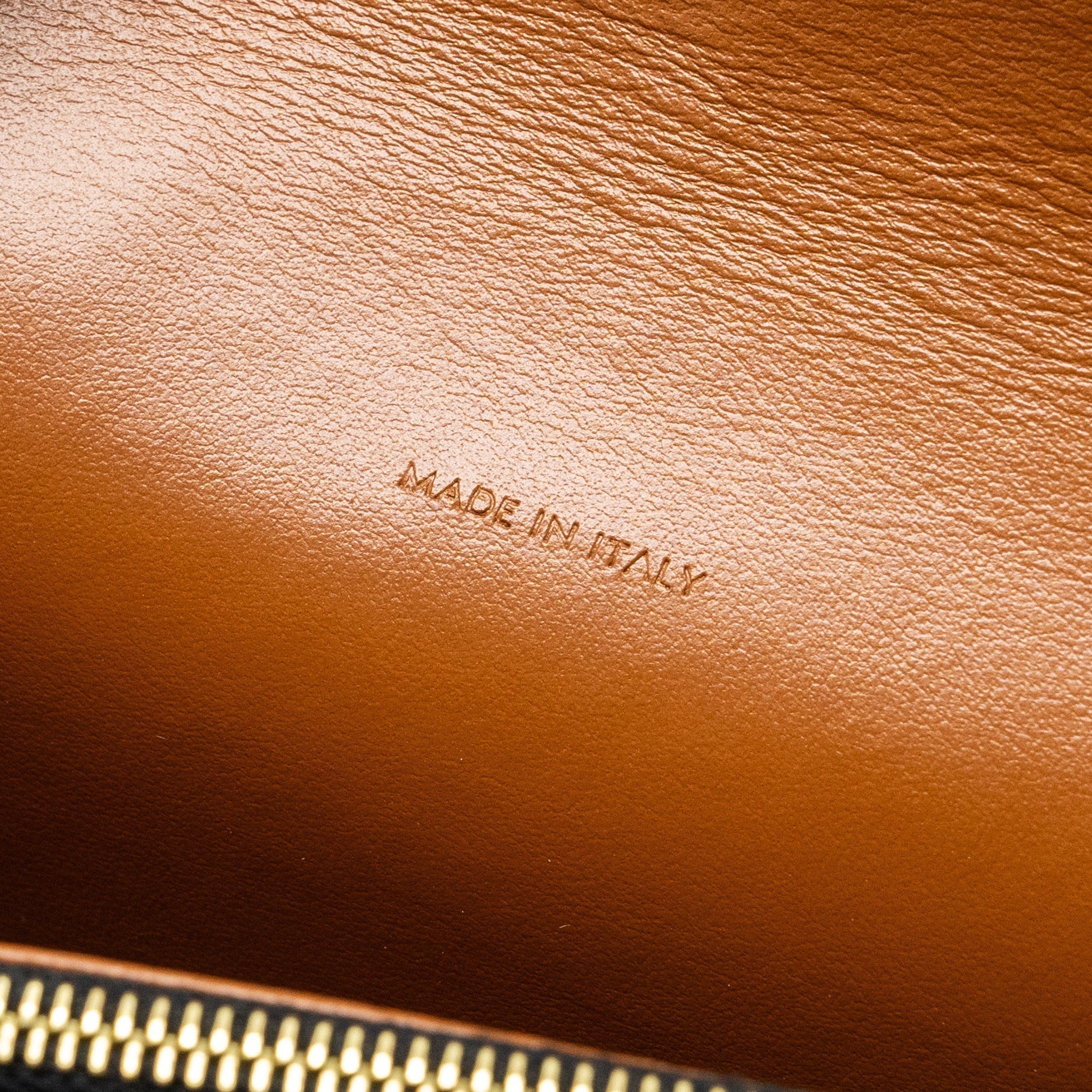 celine-wallet-on-strap-triomphe-canvas-smooth-lambskin-tan-ghw-3