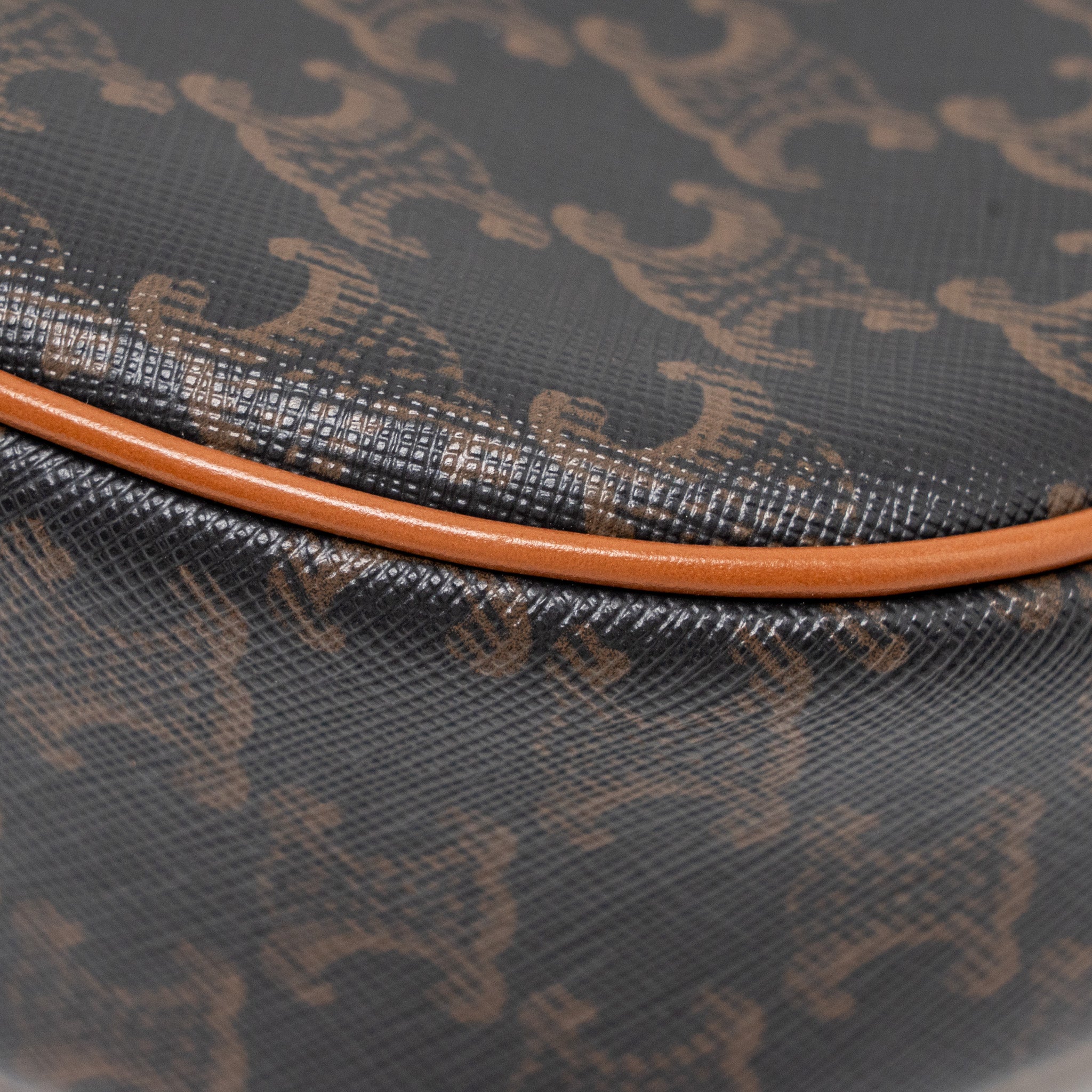 celine-ava-bag-triomphe-canvas-calfskin-tan-ghw-1