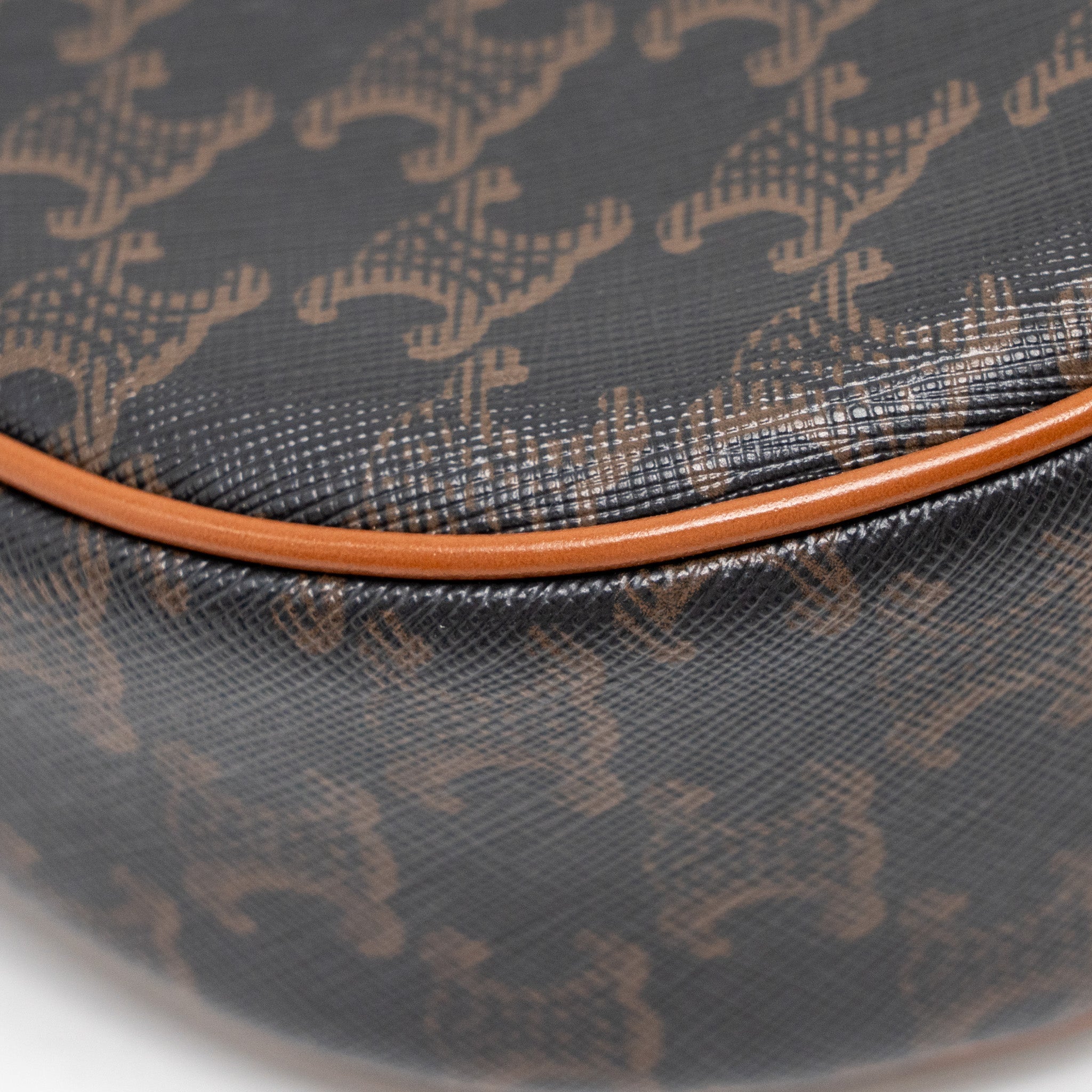 celine-ava-bag-triomphe-canvas-calfskin-tan-ghw-1