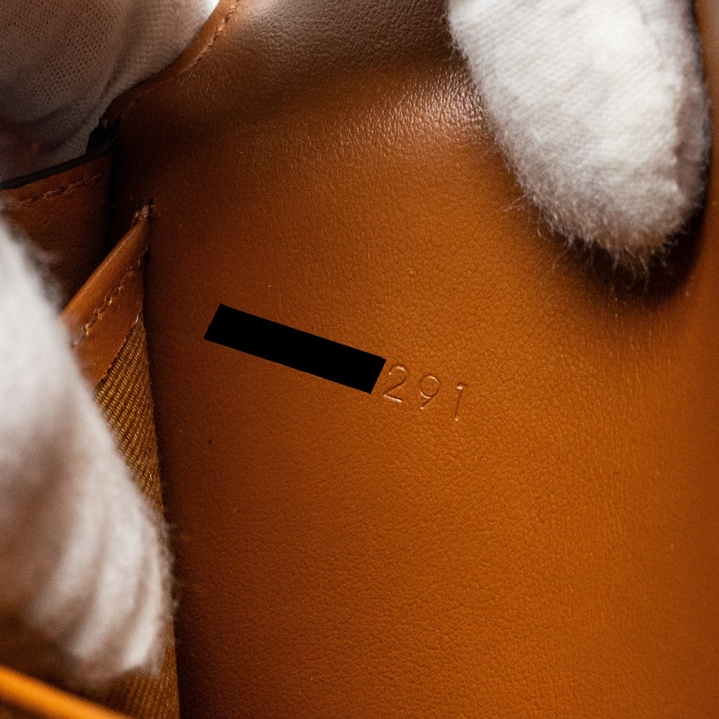 celine-wallet-on-strap-triomphe-canvas-smooth-lambskin-tan-ghw-3