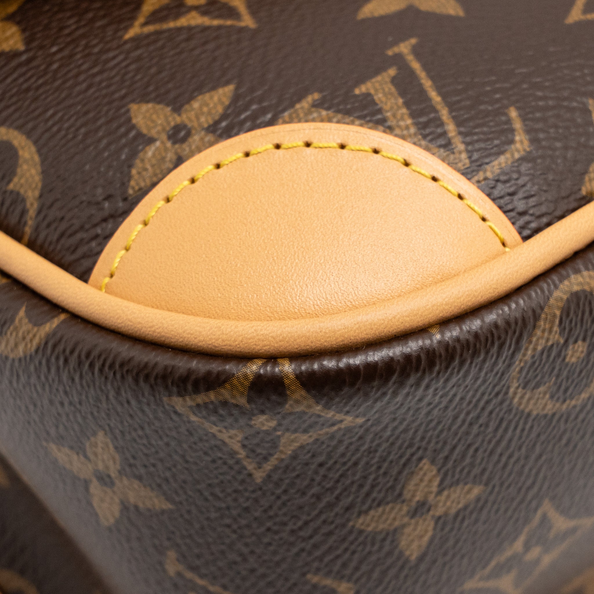 louis-vuitton-diane-bag-monogram-canvas-ghw-1
