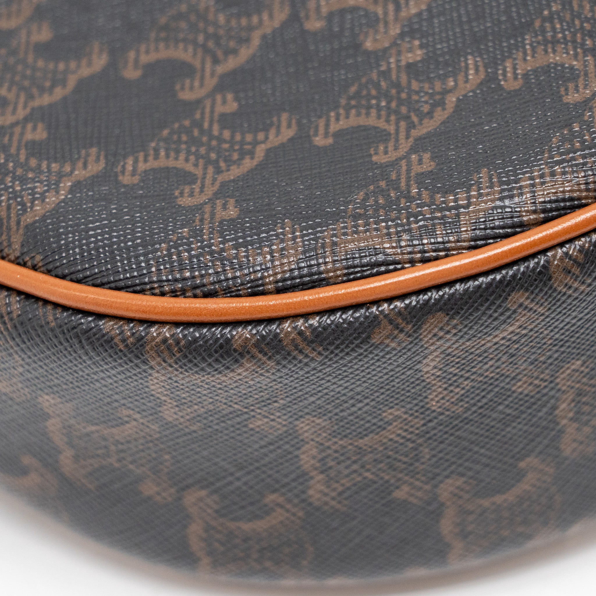 celine-ava-bag-triomphe-canvas-calfskin-tan-ghw-1