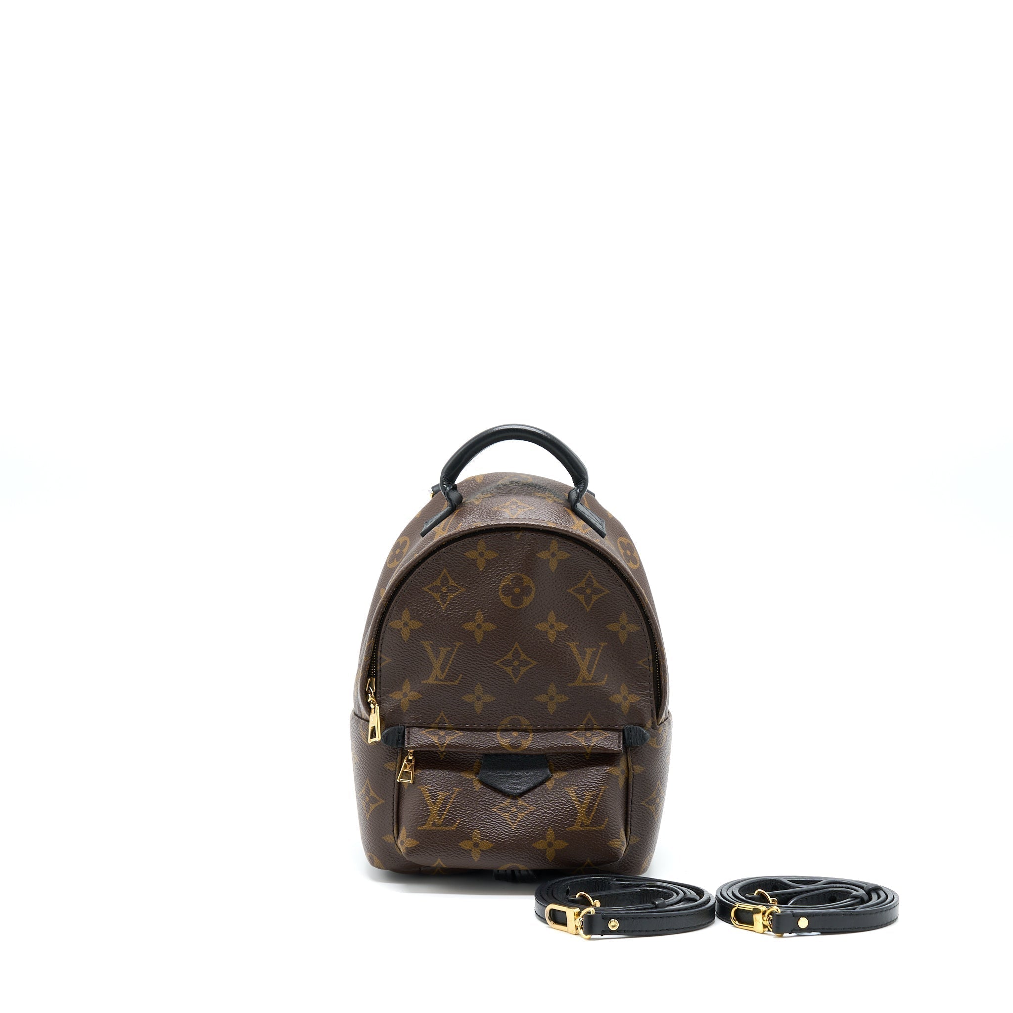 louis-vuitton-palm-spring-mini-backpack-monogram-canvas-ghw-2
