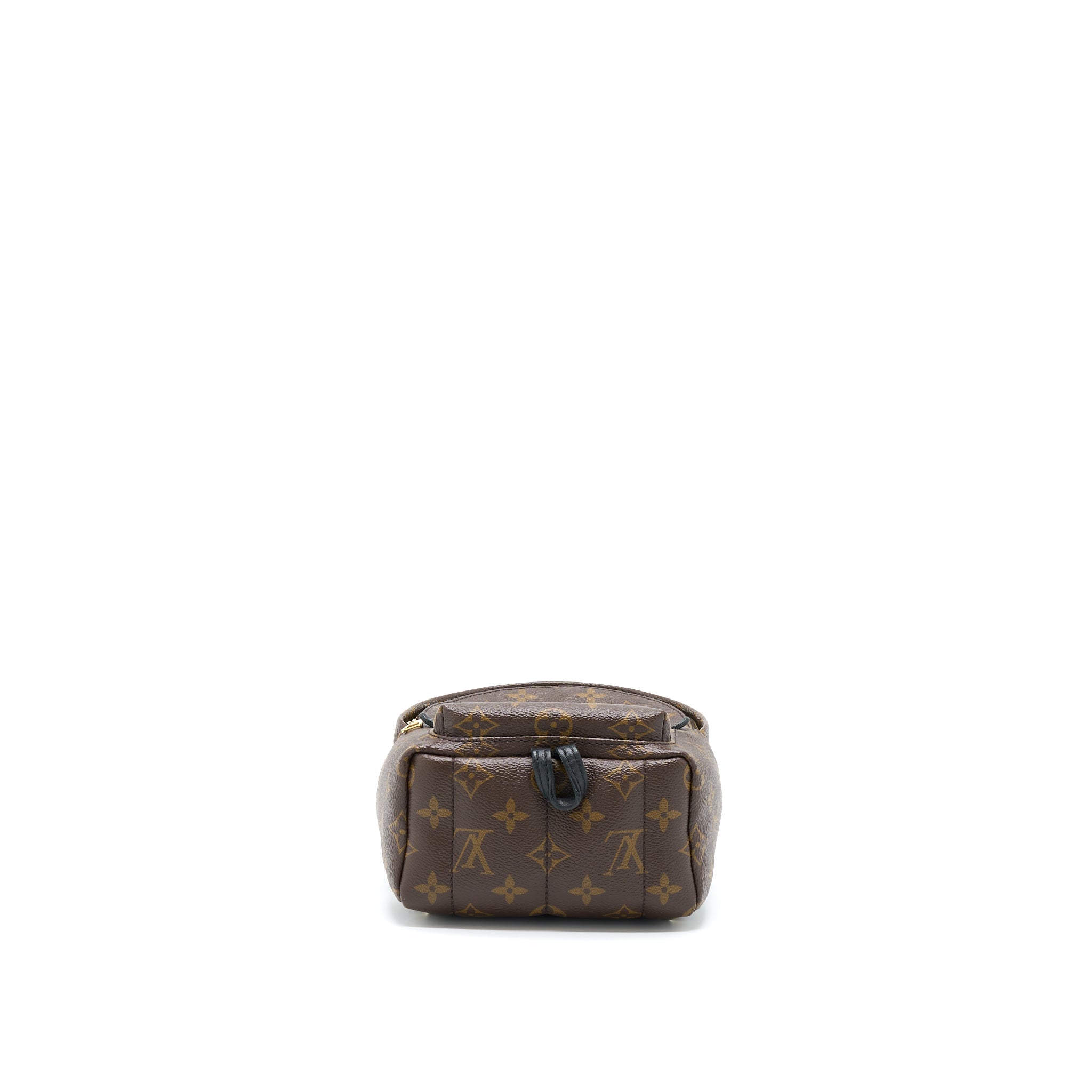 louis-vuitton-palm-spring-mini-backpack-monogram-canvas-ghw-2