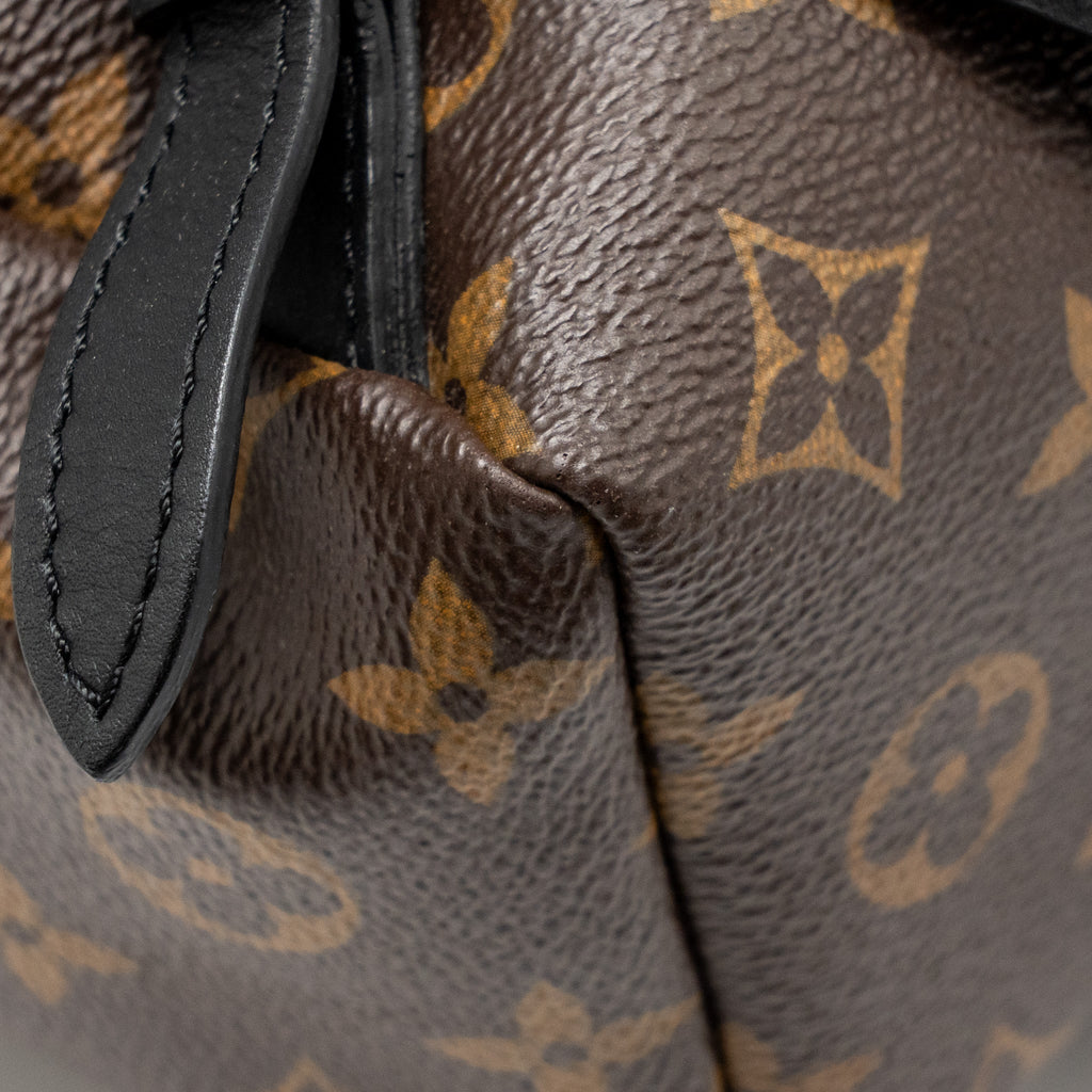 louis-vuitton-palm-spring-pm-backpack-monogram-canvas-ghw-3