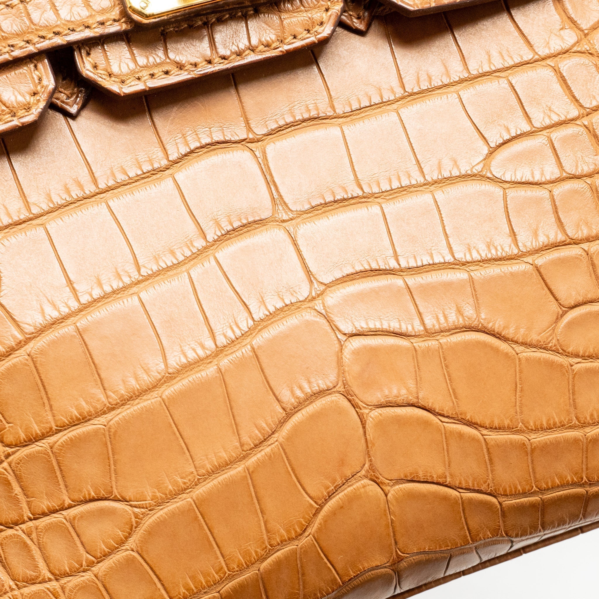 hermes-birkin-20-alligator-mississippiensis-mat-gold-ghw-stamp-b