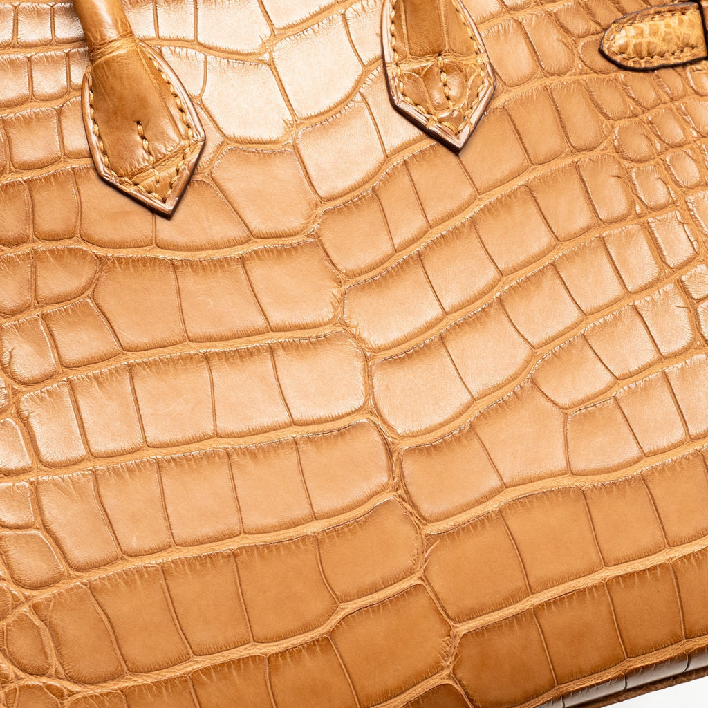 hermes-birkin-20-alligator-mississippiensis-mat-gold-ghw-stamp-b