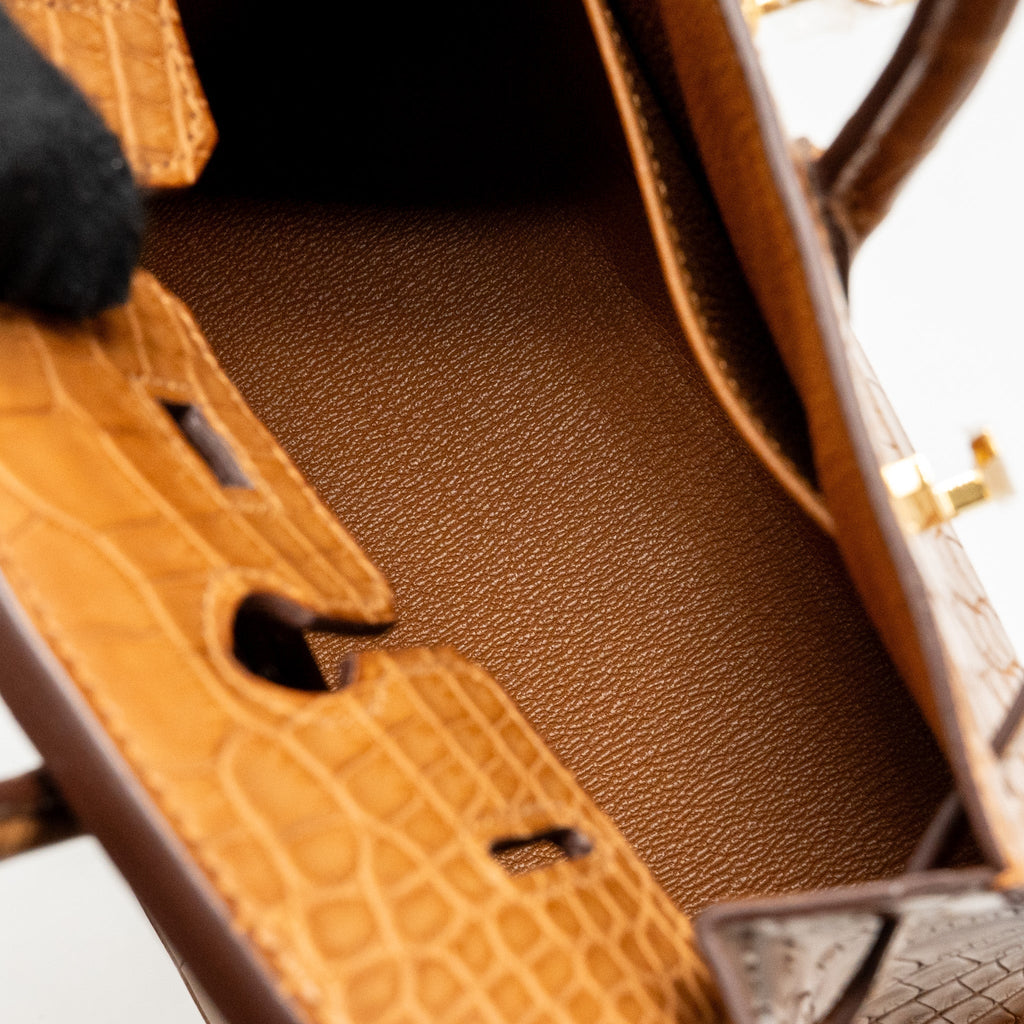 hermes-birkin-20-alligator-mississippiensis-mat-gold-ghw-stamp-b