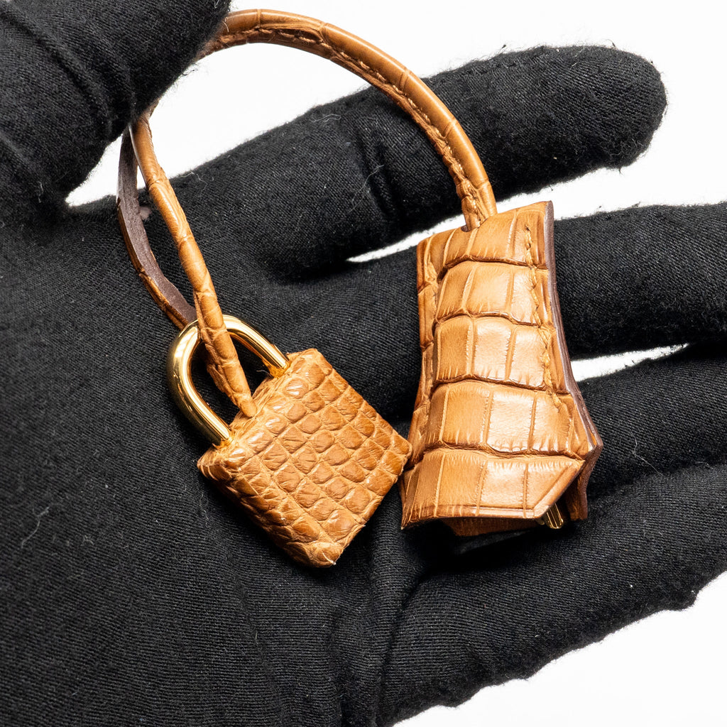 hermes-birkin-20-alligator-mississippiensis-mat-gold-ghw-stamp-b