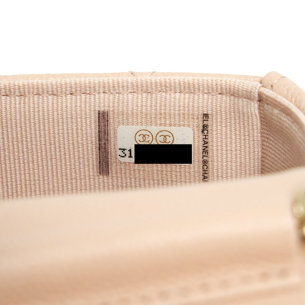 chanel-22c-mini-flap-vanity-caviar-light-pink-lghw