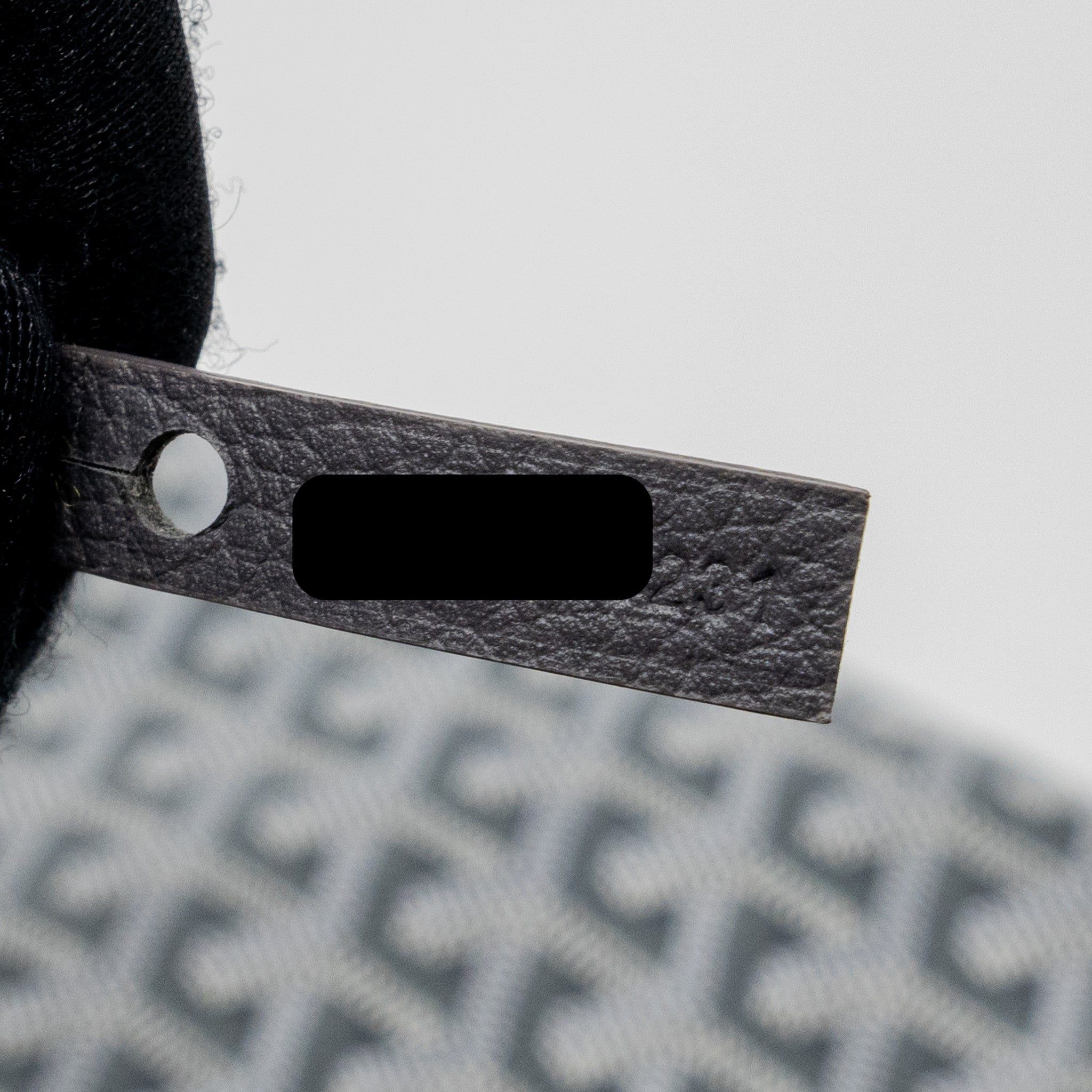 goyard-saint-louis-pm-tote-bag-canvas-grey-shw