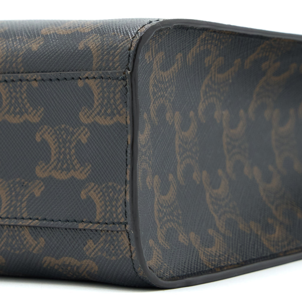 celine-vertical-cabas-triomphe-canvas-ghw-2