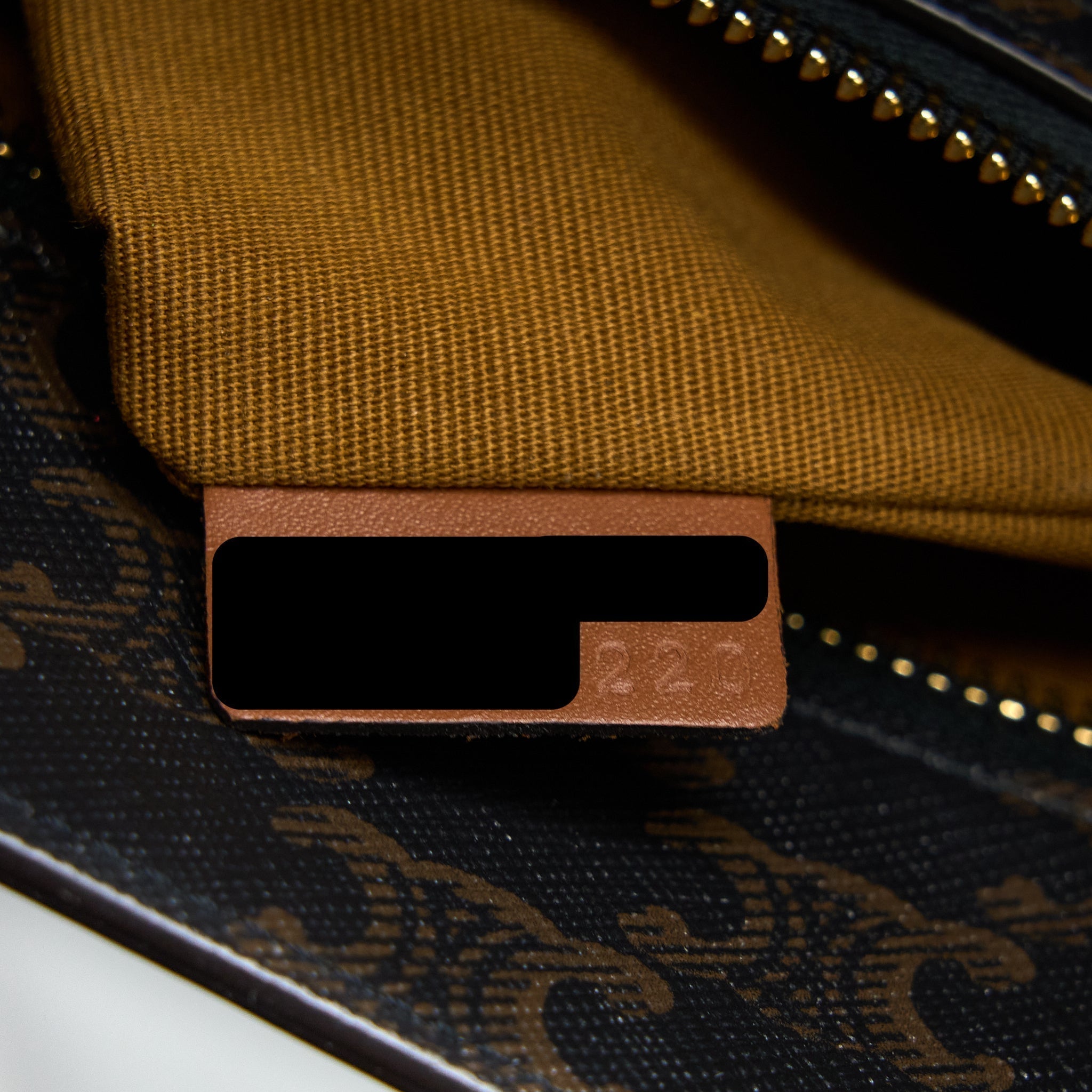 celine-vertical-cabas-triomphe-canvas-ghw-2