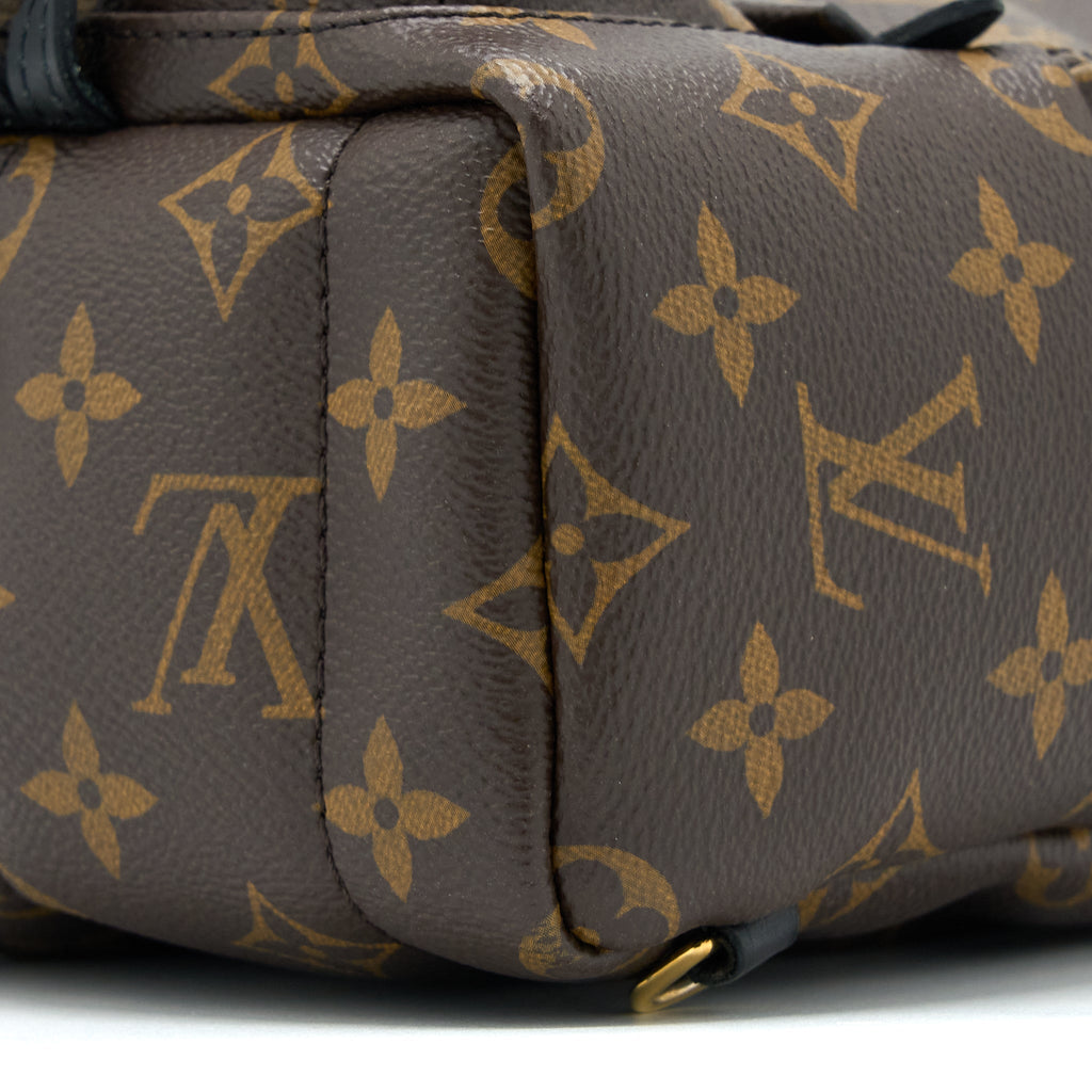 louis-vuitton-palm-spring-mini-backpack-monogram-canvas-ghw-5