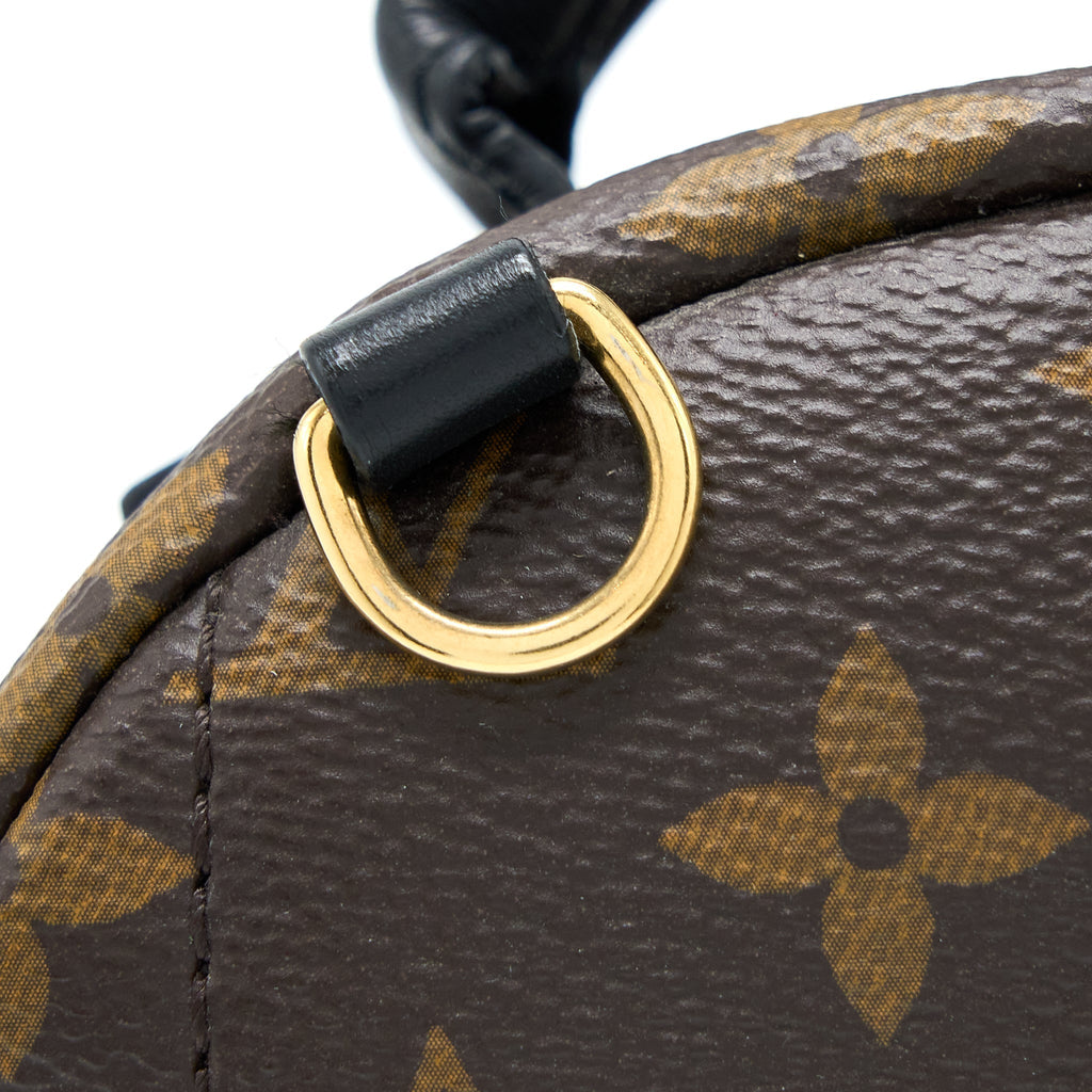 louis-vuitton-palm-spring-mini-backpack-monogram-canvas-ghw-5