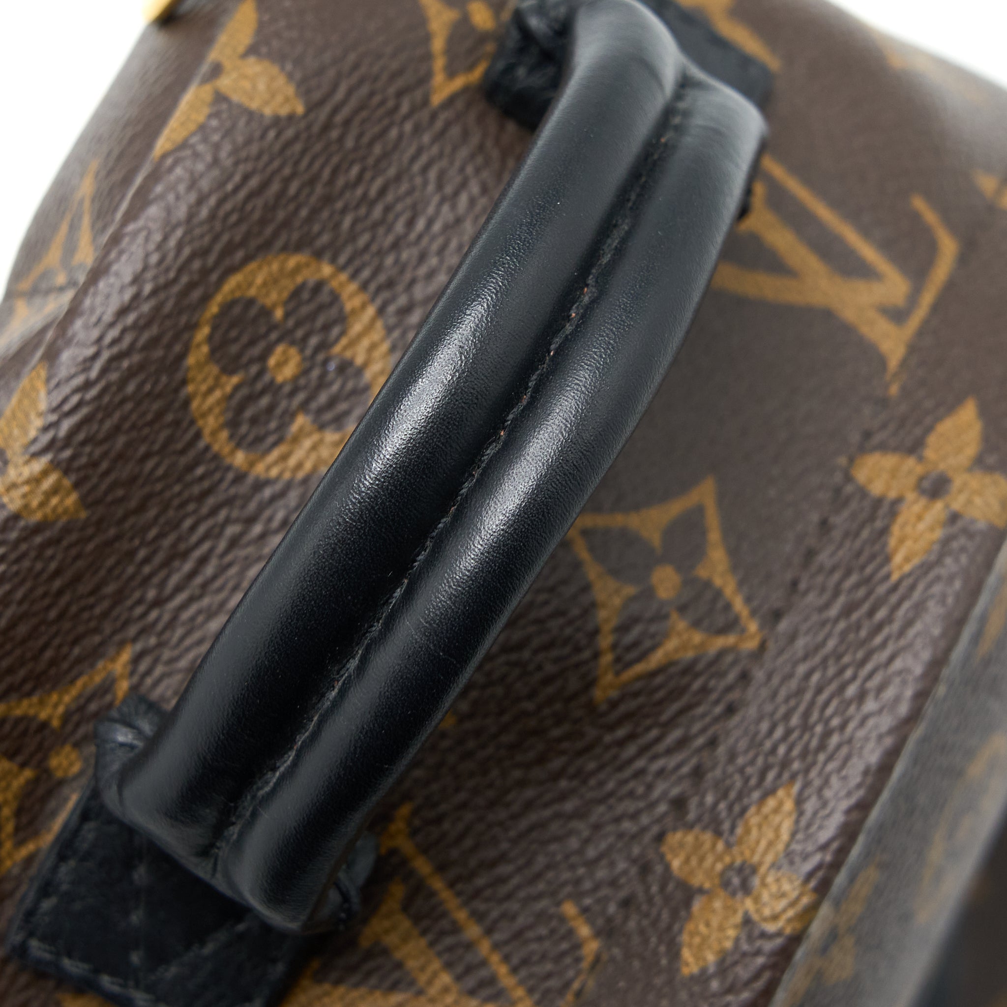 louis-vuitton-palm-spring-mini-backpack-monogram-canvas-ghw-5
