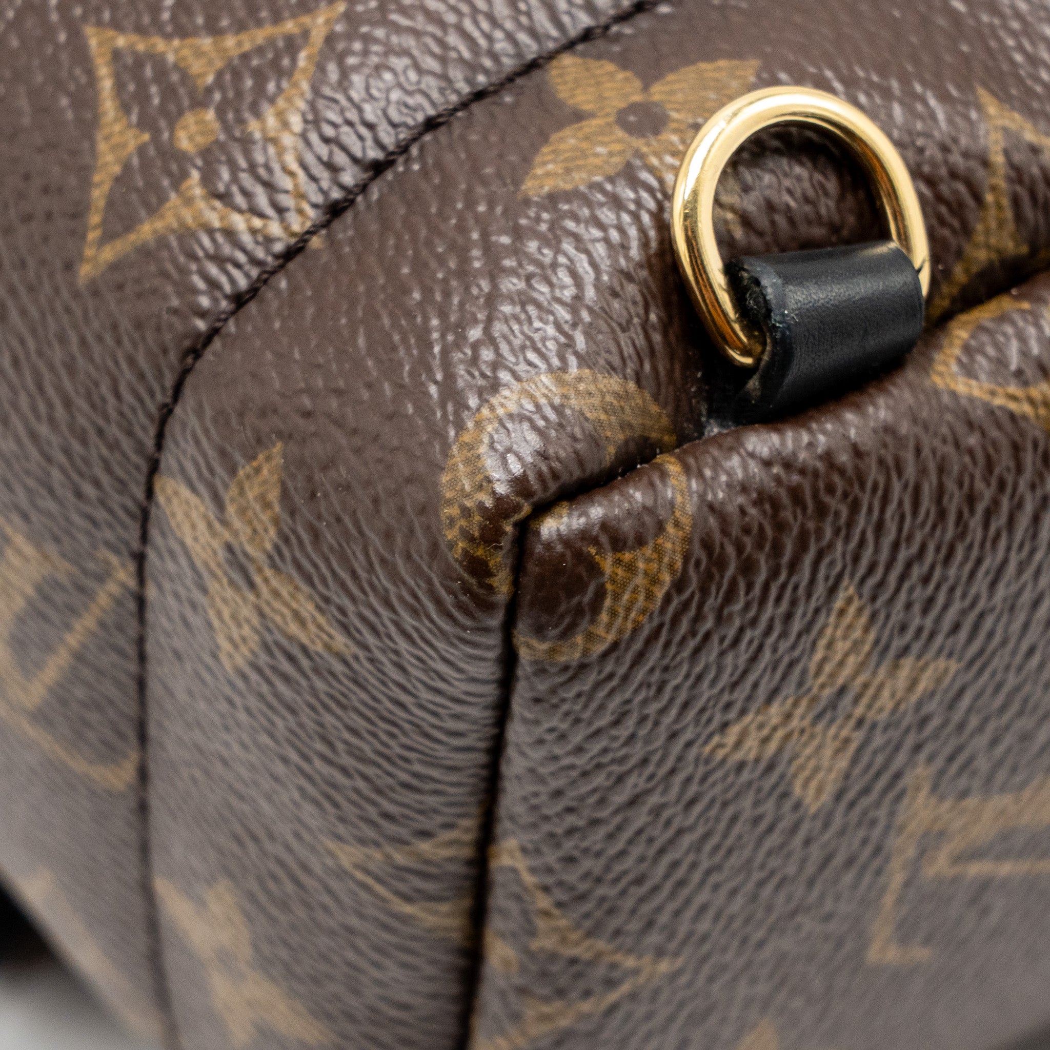 louis-vuitton-mini-palm-spring-backpack-monogram-canvas-ghw-15