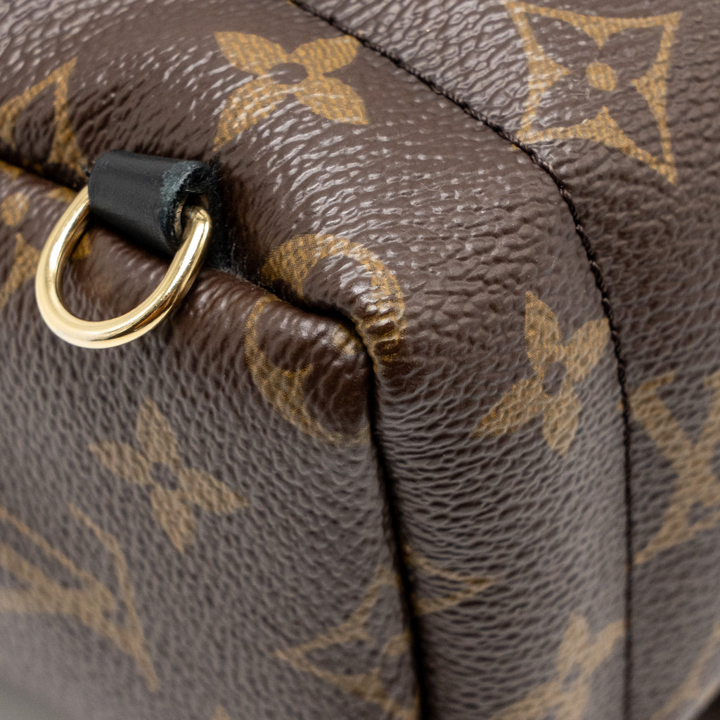 louis-vuitton-mini-palm-spring-backpack-monogram-canvas-ghw-15