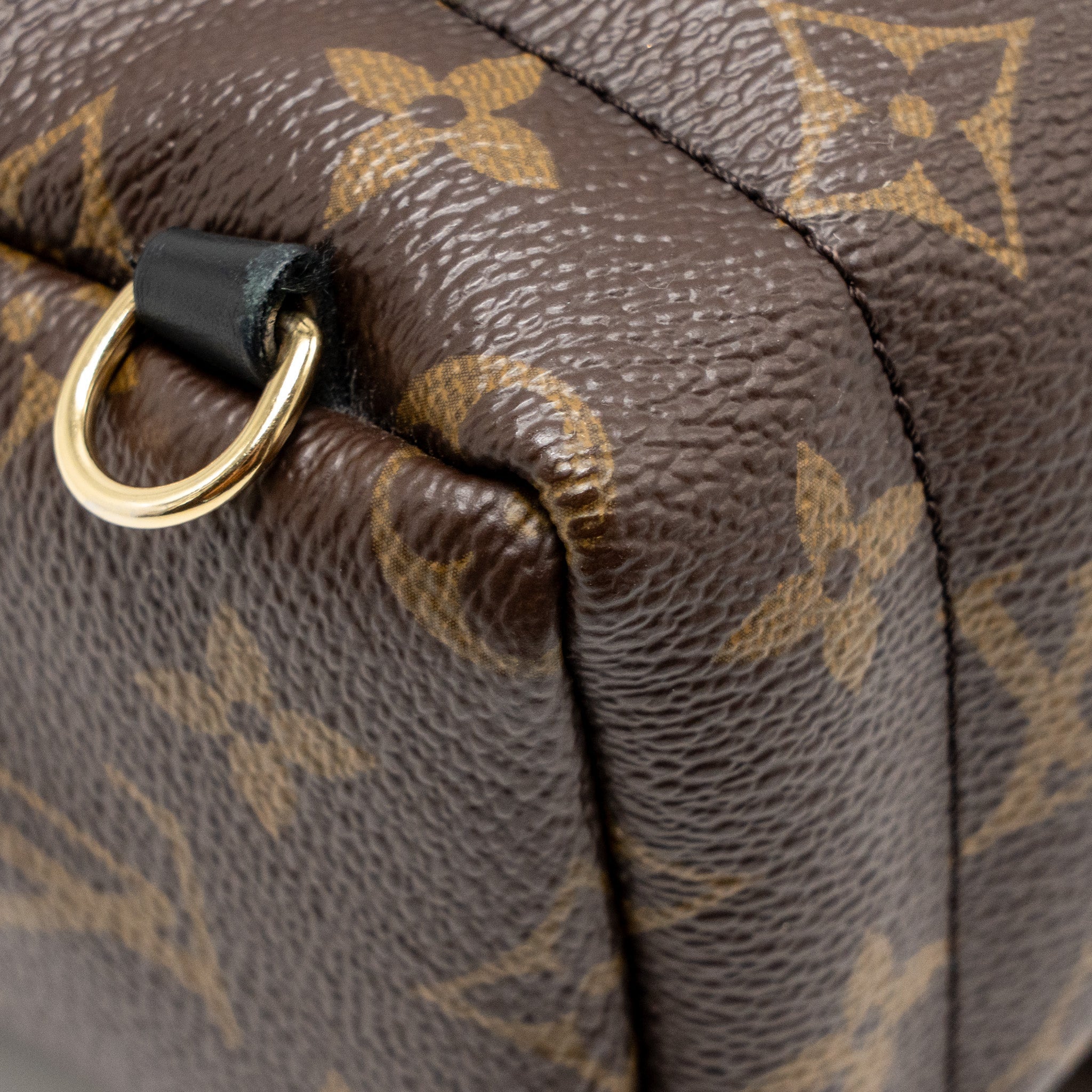 louis-vuitton-mini-palm-spring-backpack-monogram-canvas-ghw-15
