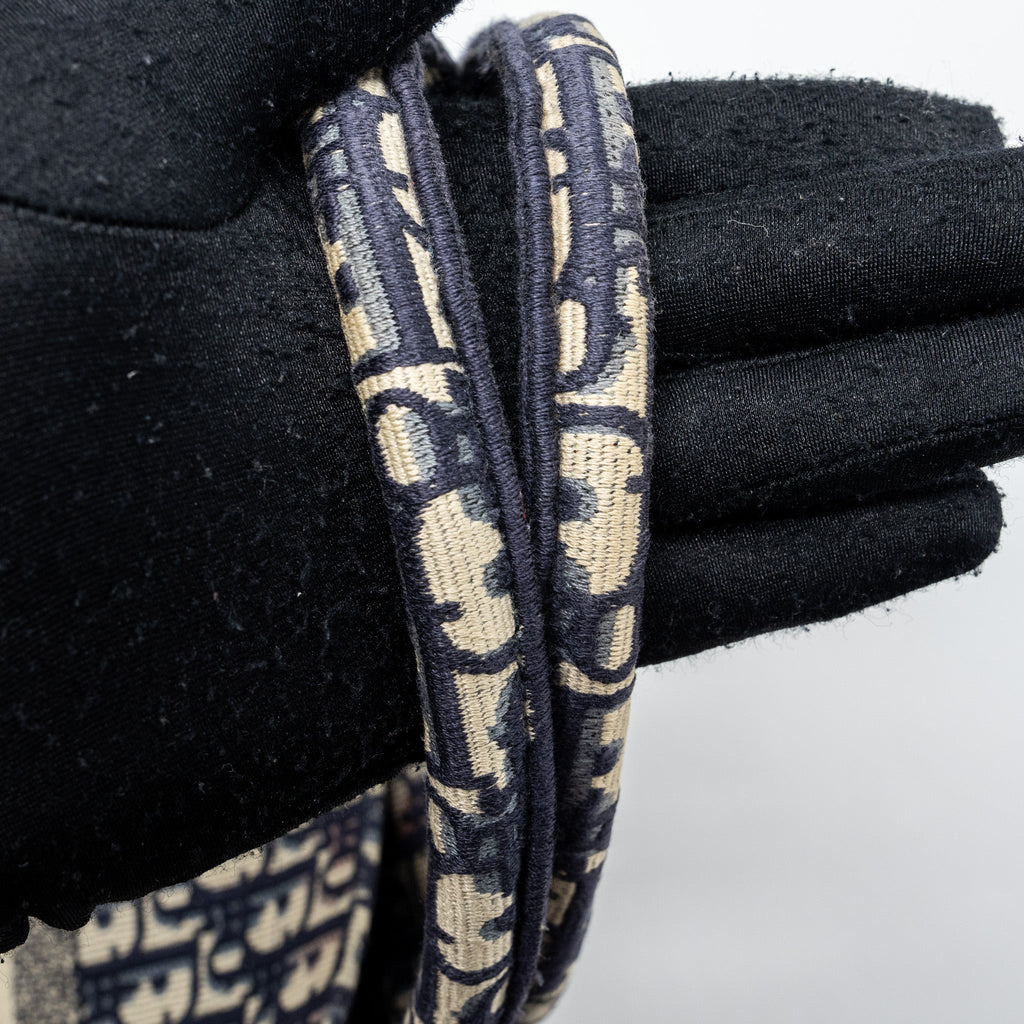 dior-medium-book-tote-blue-oblique-emboidery