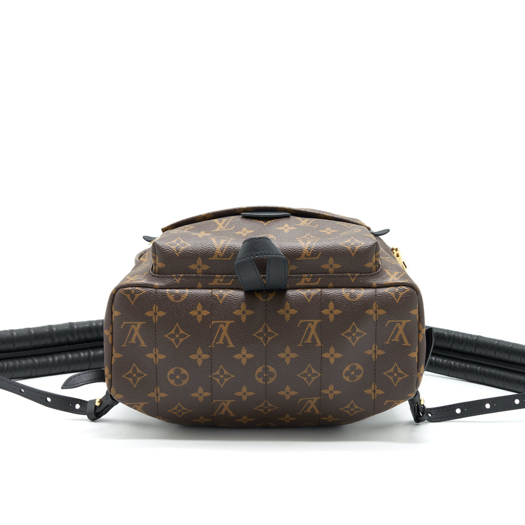 louis-vuitton-palm-springs-mm-monogram-canvas-ghw