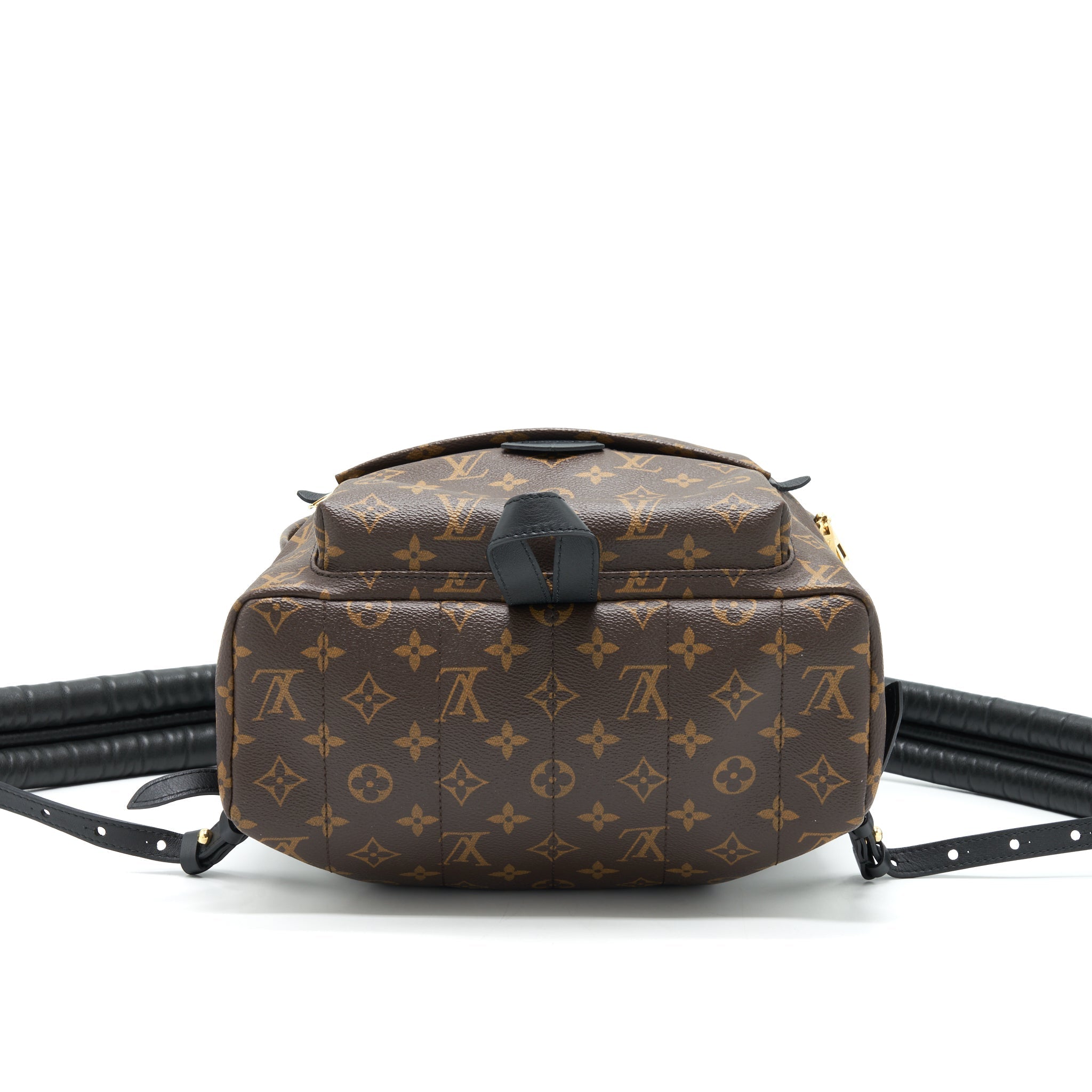 louis-vuitton-palm-springs-mm-monogram-canvas-ghw