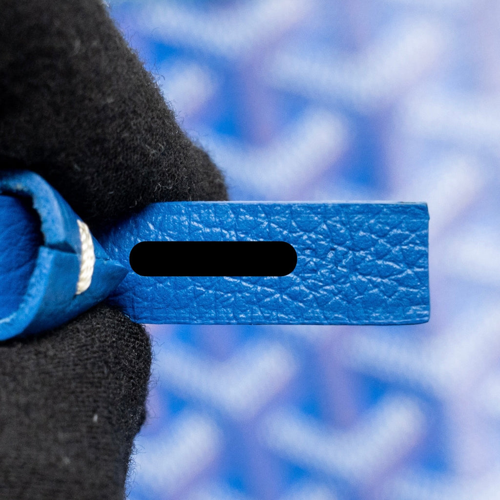 goyard-bag-1