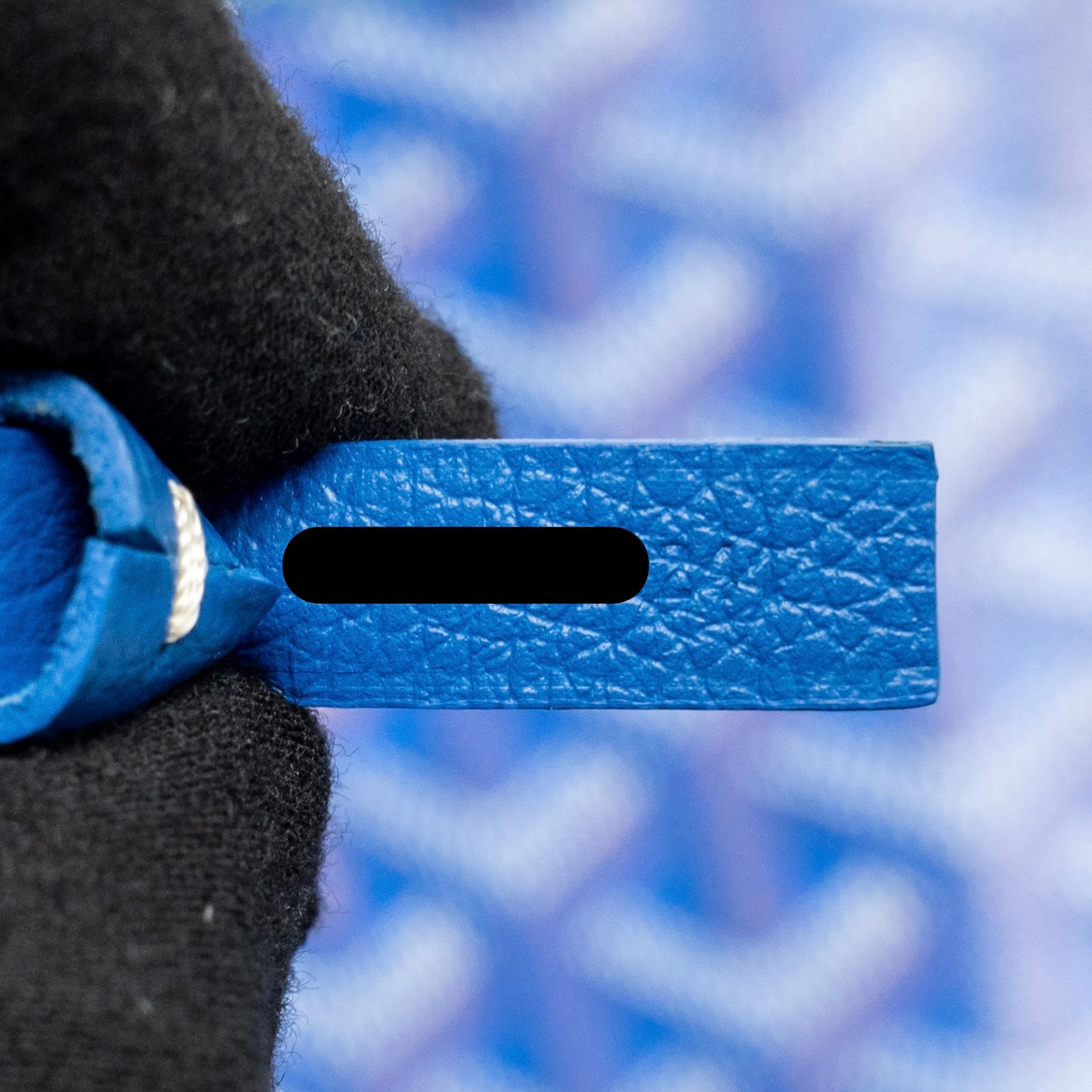 goyard-bag-1