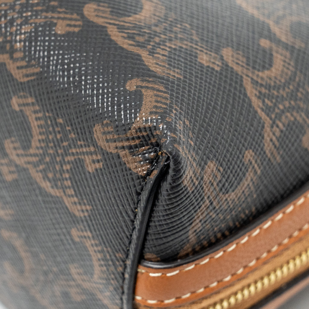 celine-clutch-with-chain-in-triomphe-canvas-lambskin-tan-ghw