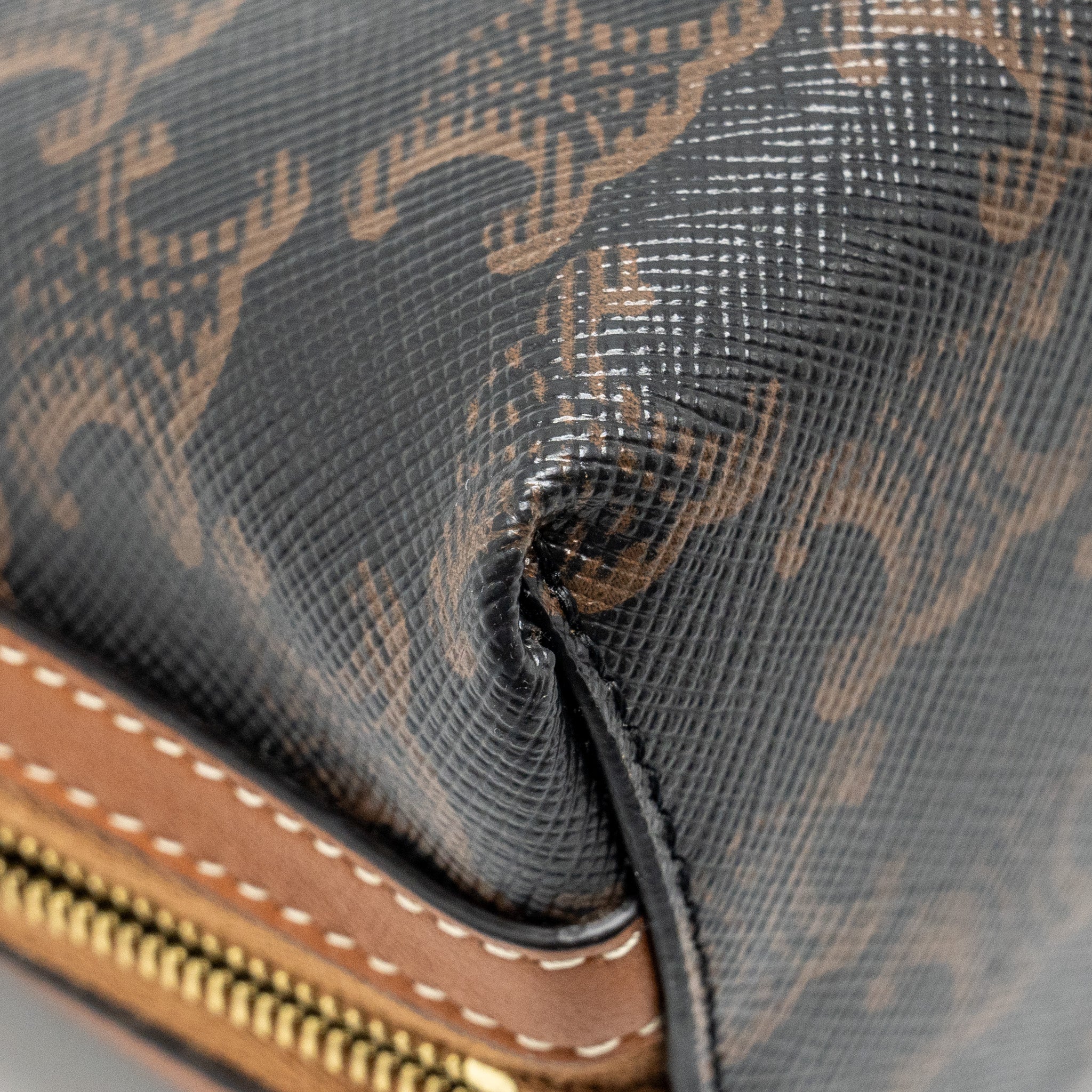 celine-clutch-with-chain-in-triomphe-canvas-lambskin-tan-ghw