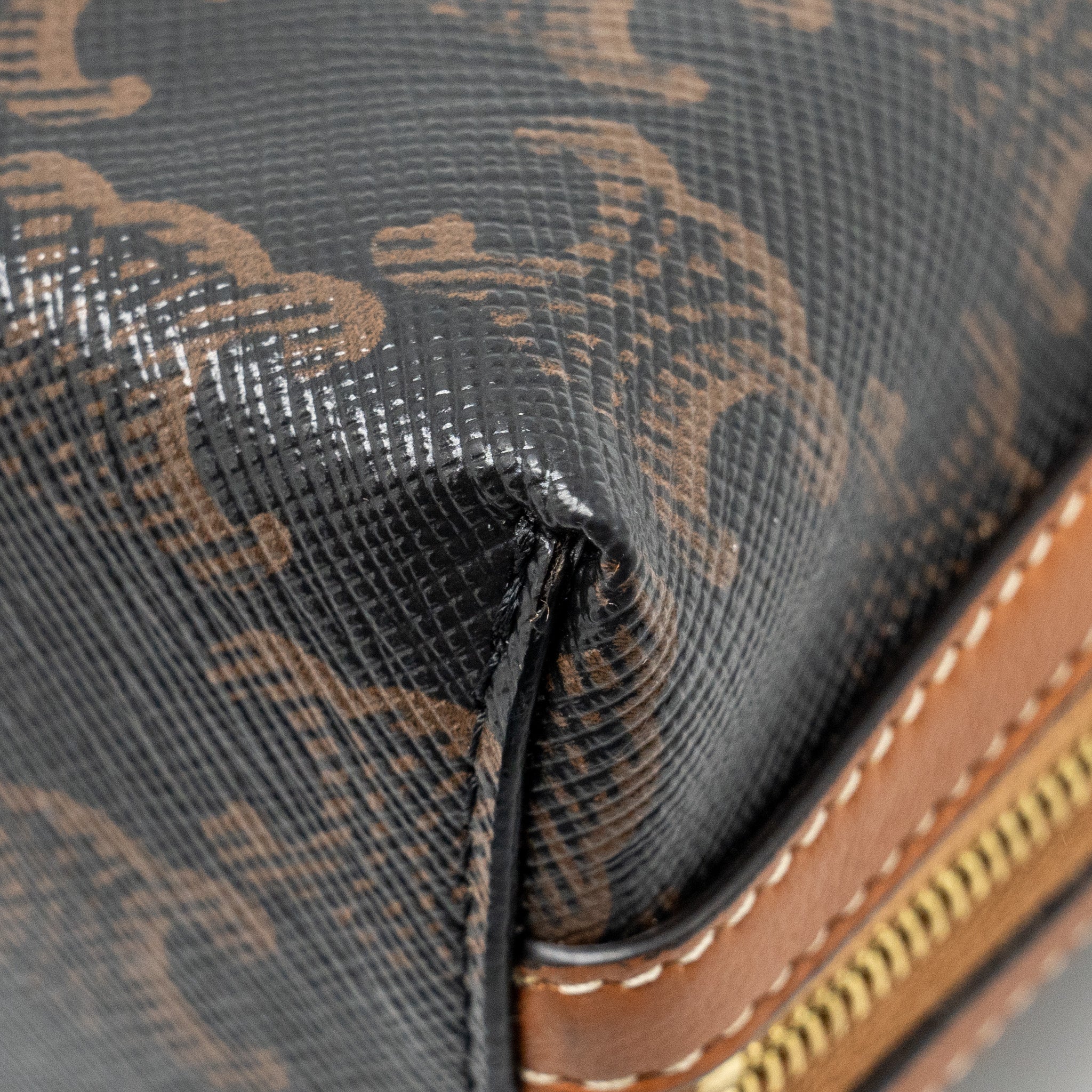celine-clutch-with-chain-in-triomphe-canvas-lambskin-tan-ghw