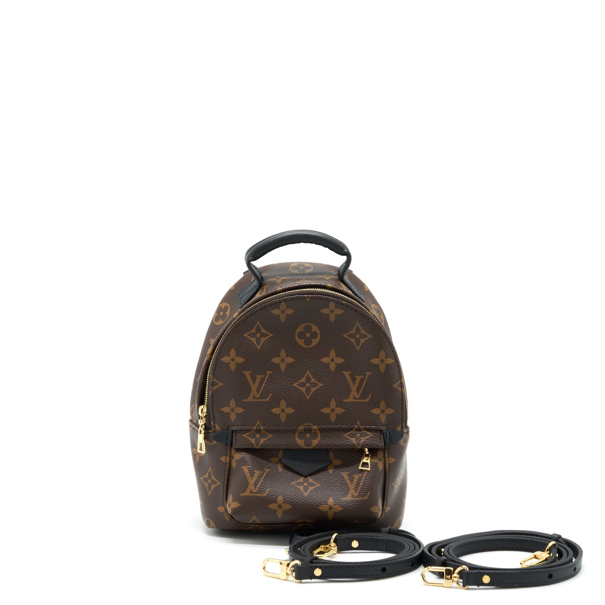 louis-vuitton-palm-springs-mini-backpack-monogram-canvas-ghw