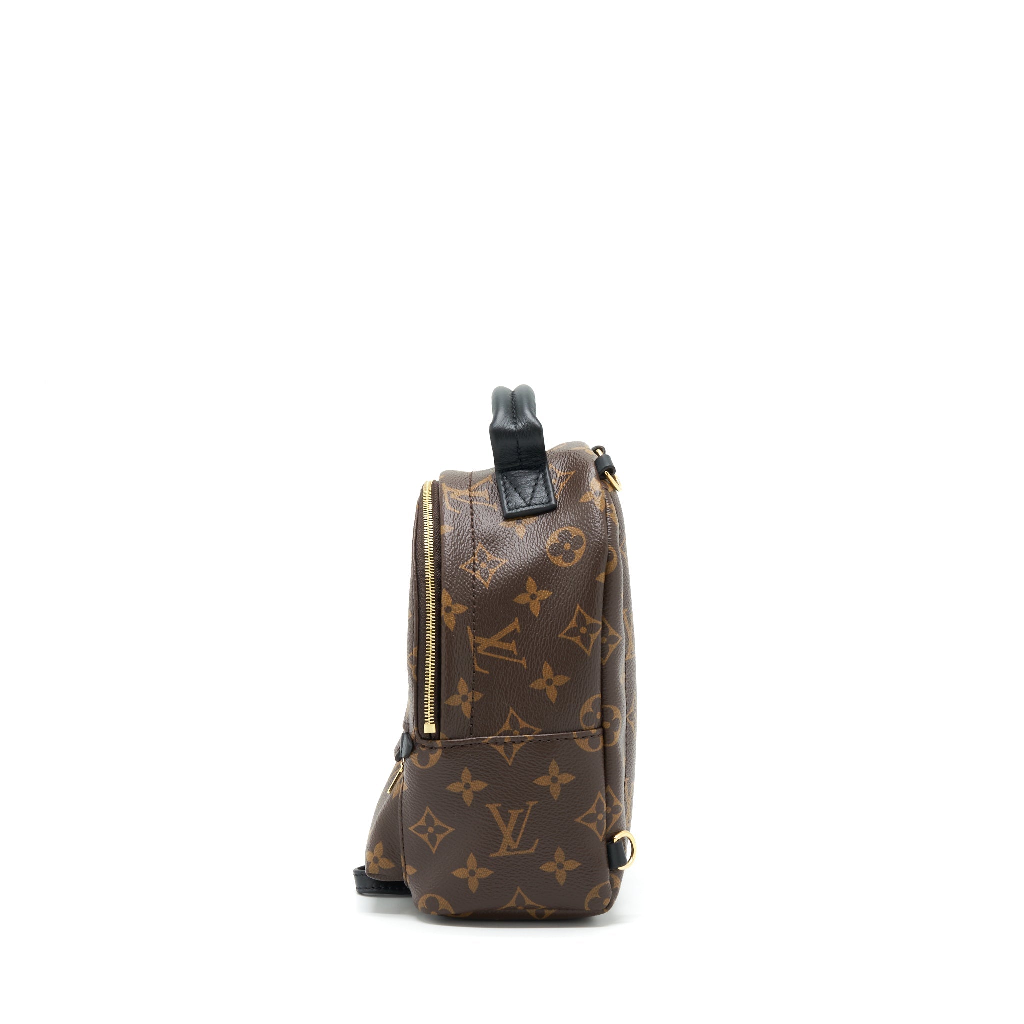 louis-vuitton-palm-springs-mini-backpack-monogram-canvas-ghw