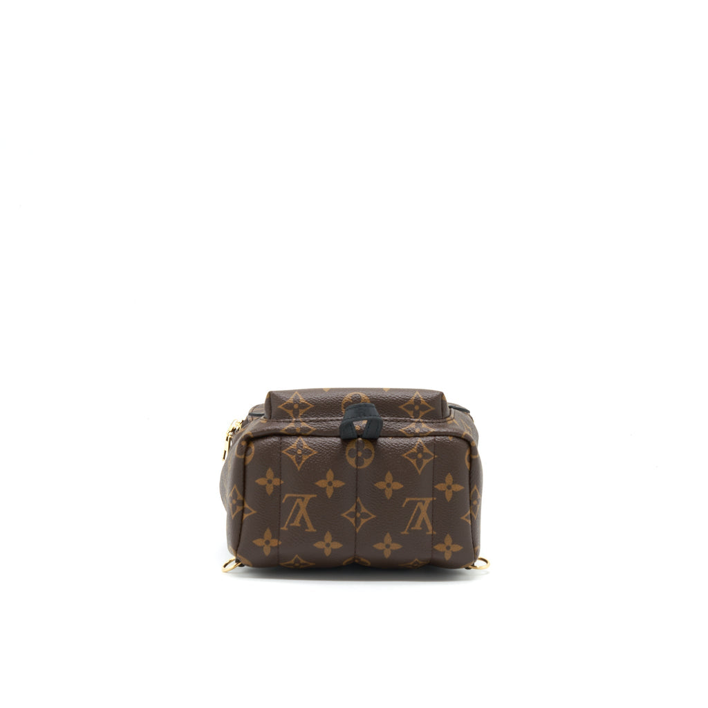 louis-vuitton-palm-springs-mini-backpack-monogram-canvas-ghw