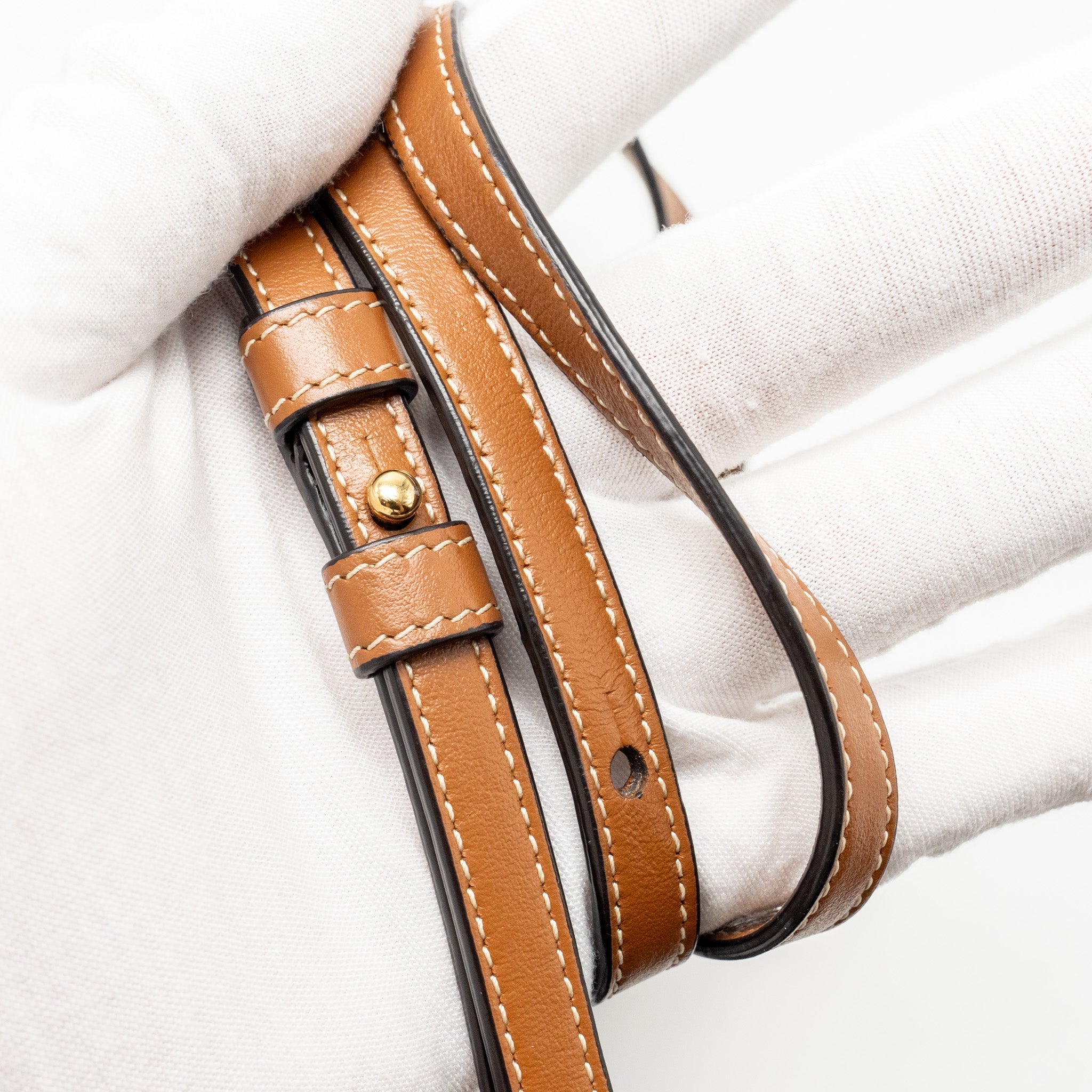 celine-bag-1