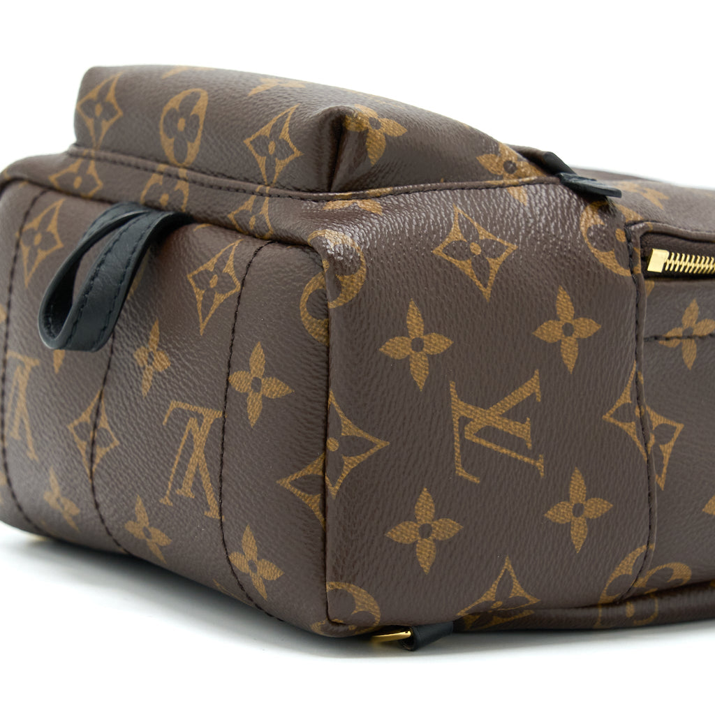 louis-vuitton-palm-spring-mini-backpack-monogram-canvasnew-version-zipper