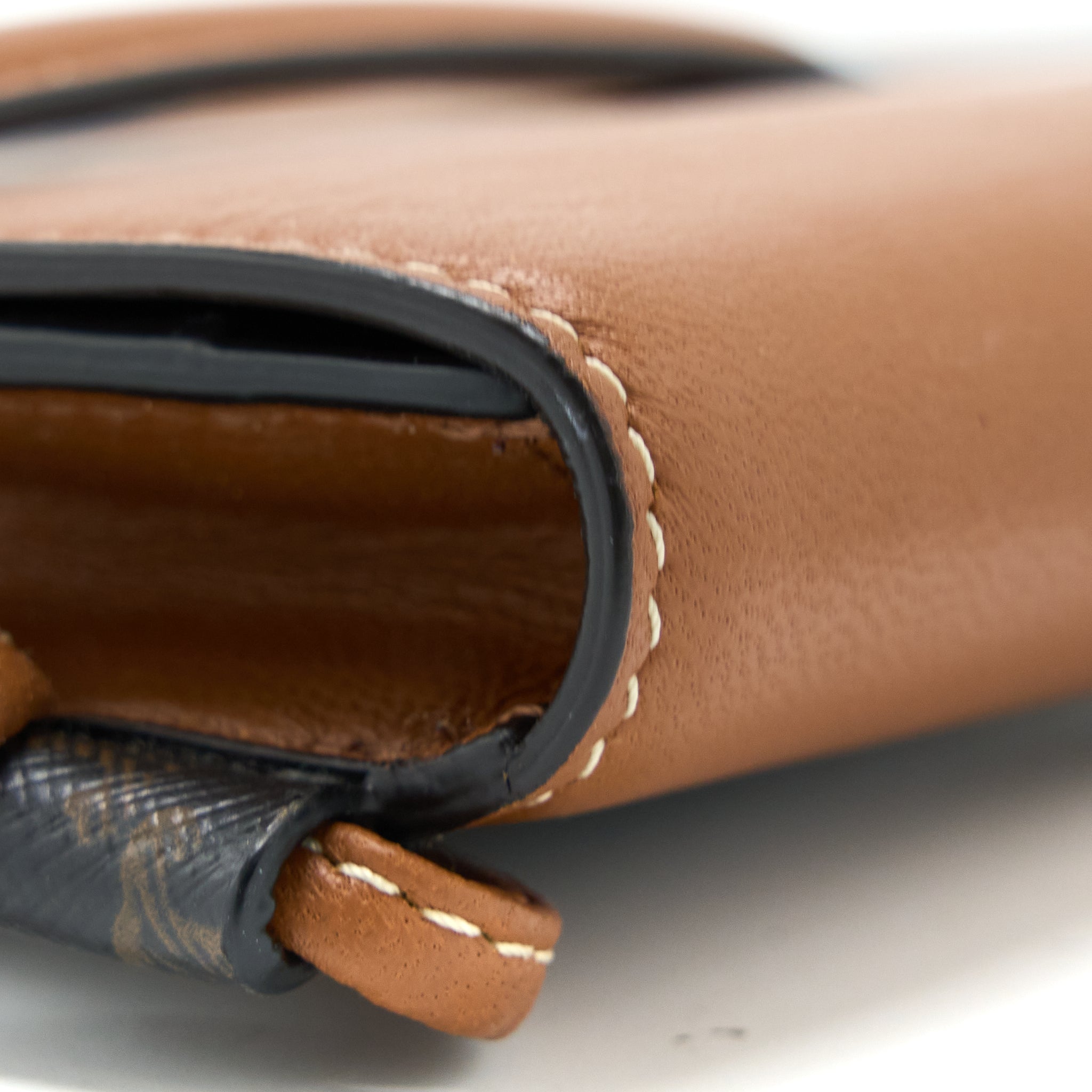celine-crossbody-vertical-phone-case-in-triomphe-canvas-lambskin-tan