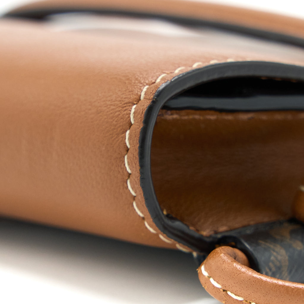 celine-crossbody-vertical-phone-case-in-triomphe-canvas-lambskin-tan