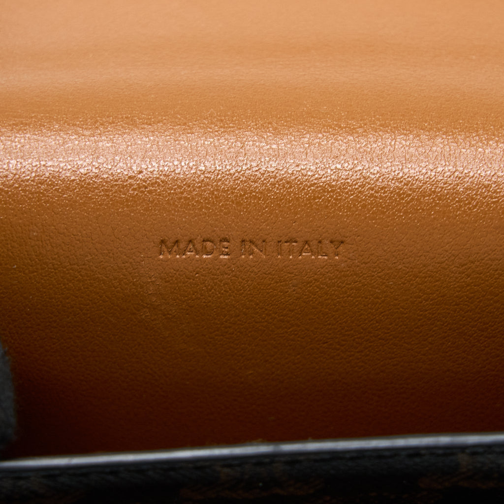 celine-crossbody-vertical-phone-case-in-triomphe-canvas-lambskin-tan