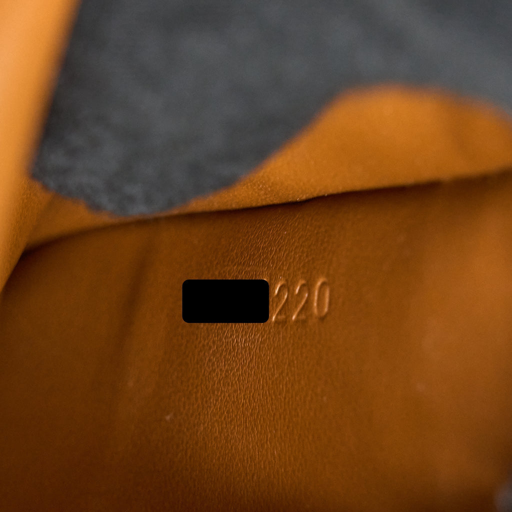 celine-crossbody-vertical-phone-case-in-triomphe-canvas-lambskin-tan
