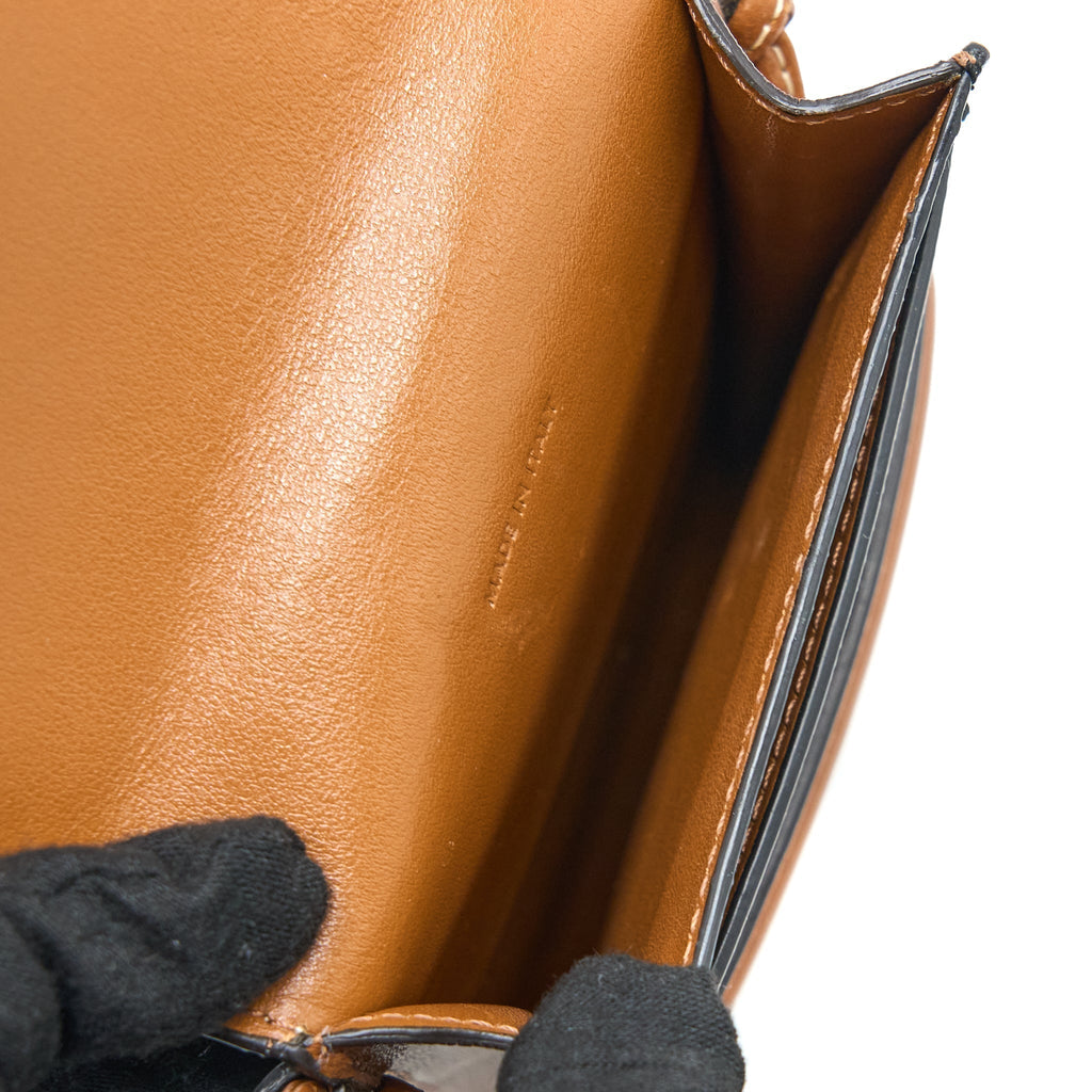 celine-crossbody-vertical-phone-case-in-triomphe-canvas-lambskin-tan