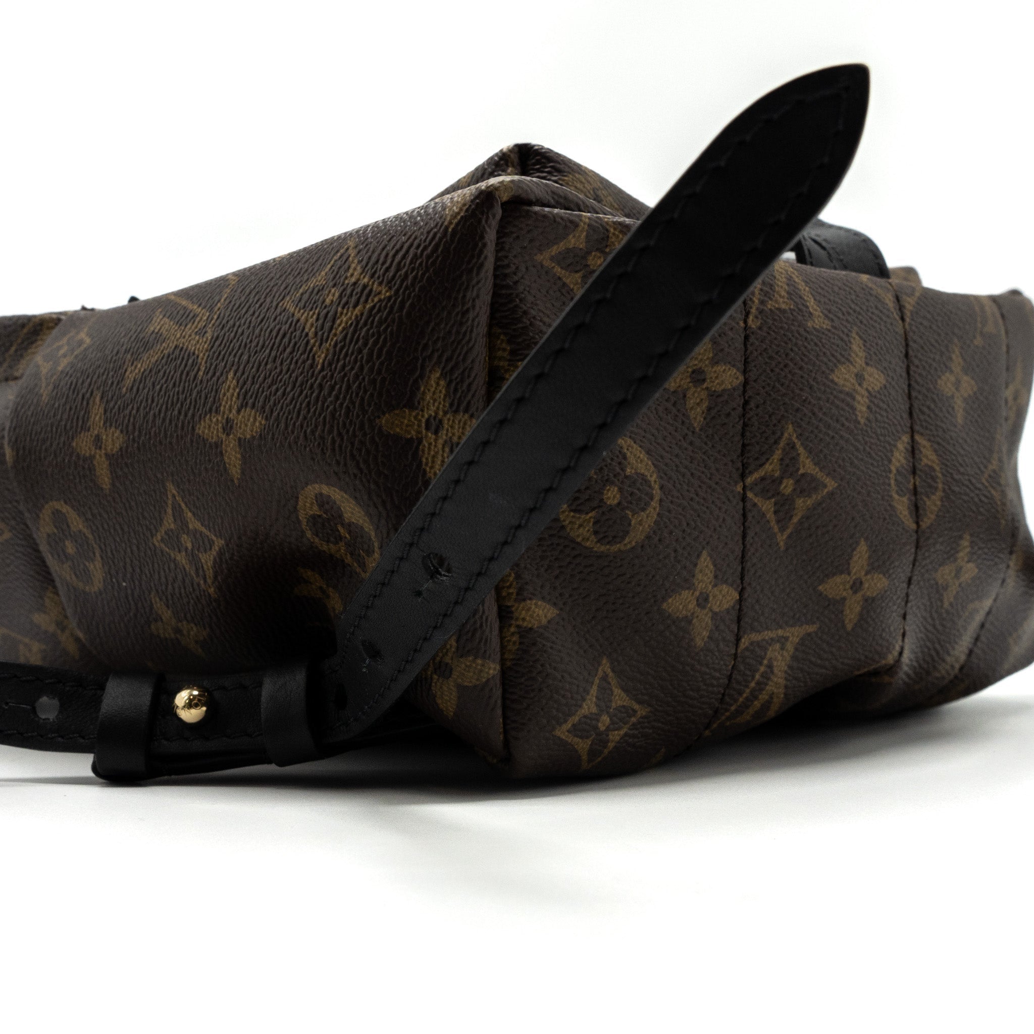 louis-vuitton-palm-spring-back-pack-pm-monogram-canvas-ghw