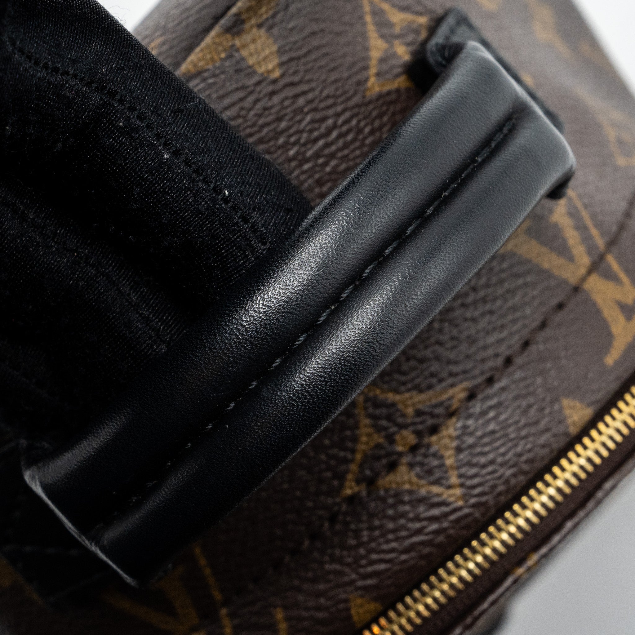 louis-vuitton-mini-palm-spring-backpack-monogram-canvas-ghw-4