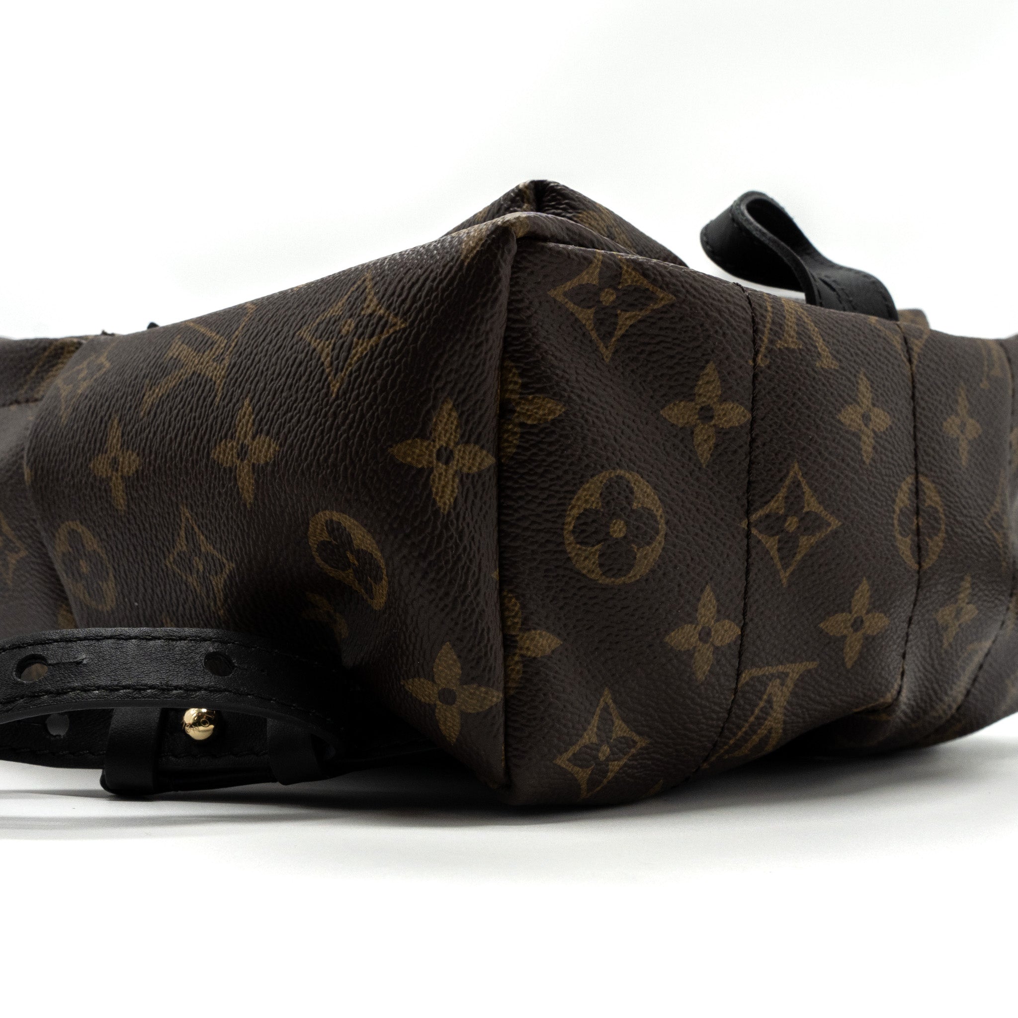 louis-vuitton-palm-spring-back-pack-pm-monogram-canvas-ghw