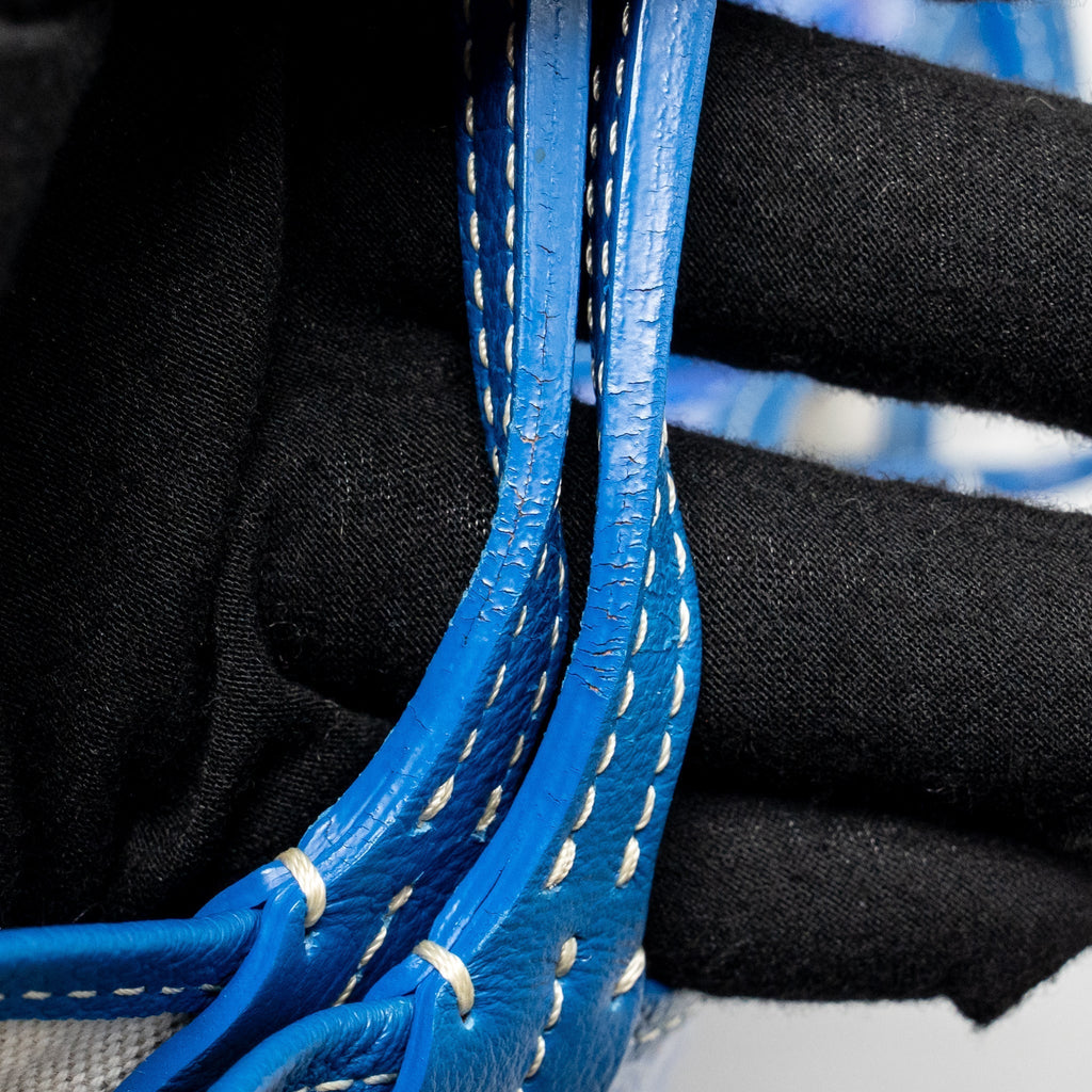 goyard-bag-1