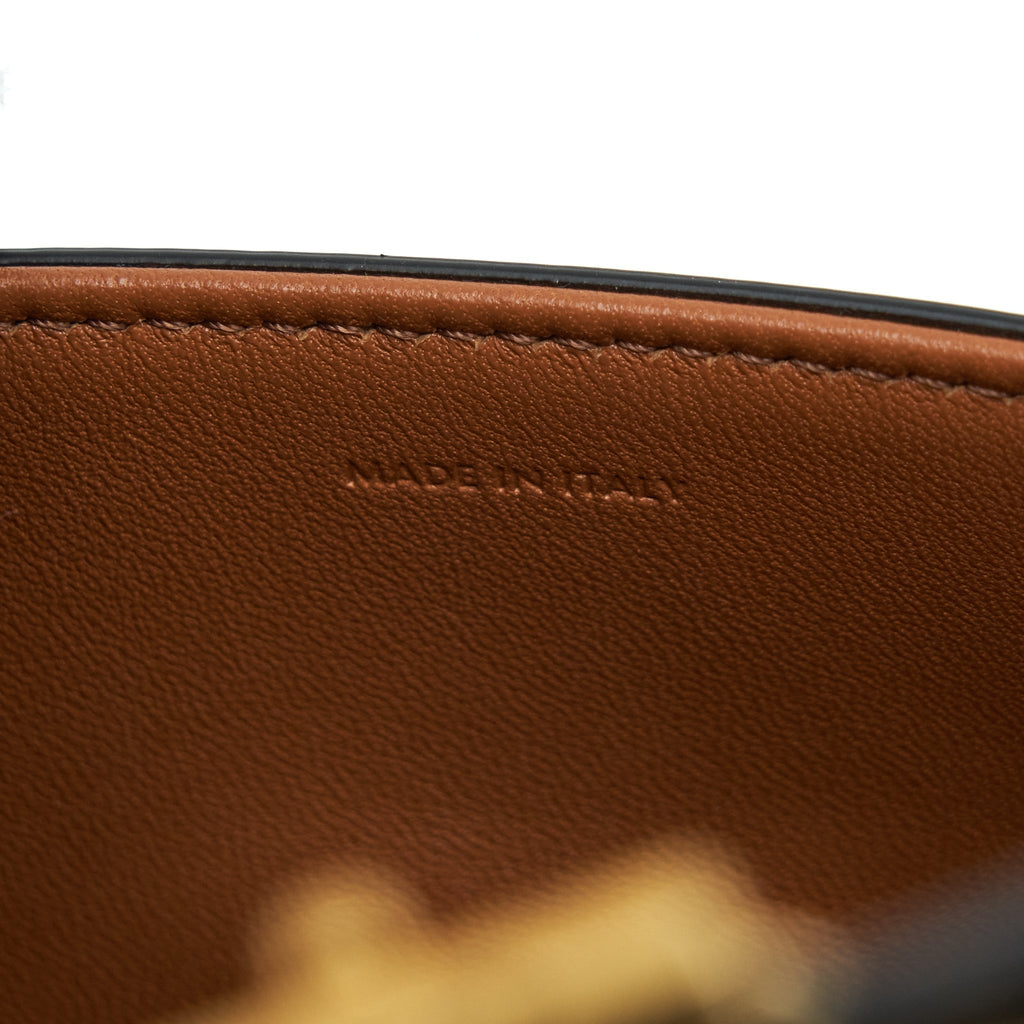 celine-triomphe-shoulder-bag-triomphe-canvas-calfskin-lghw
