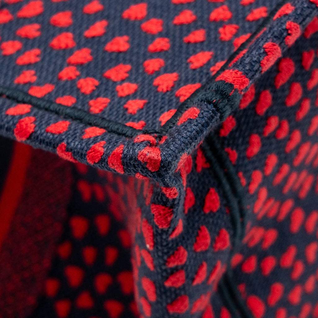 dior-medium-dior-book-tote-i-love-paris-canvas-red-navy