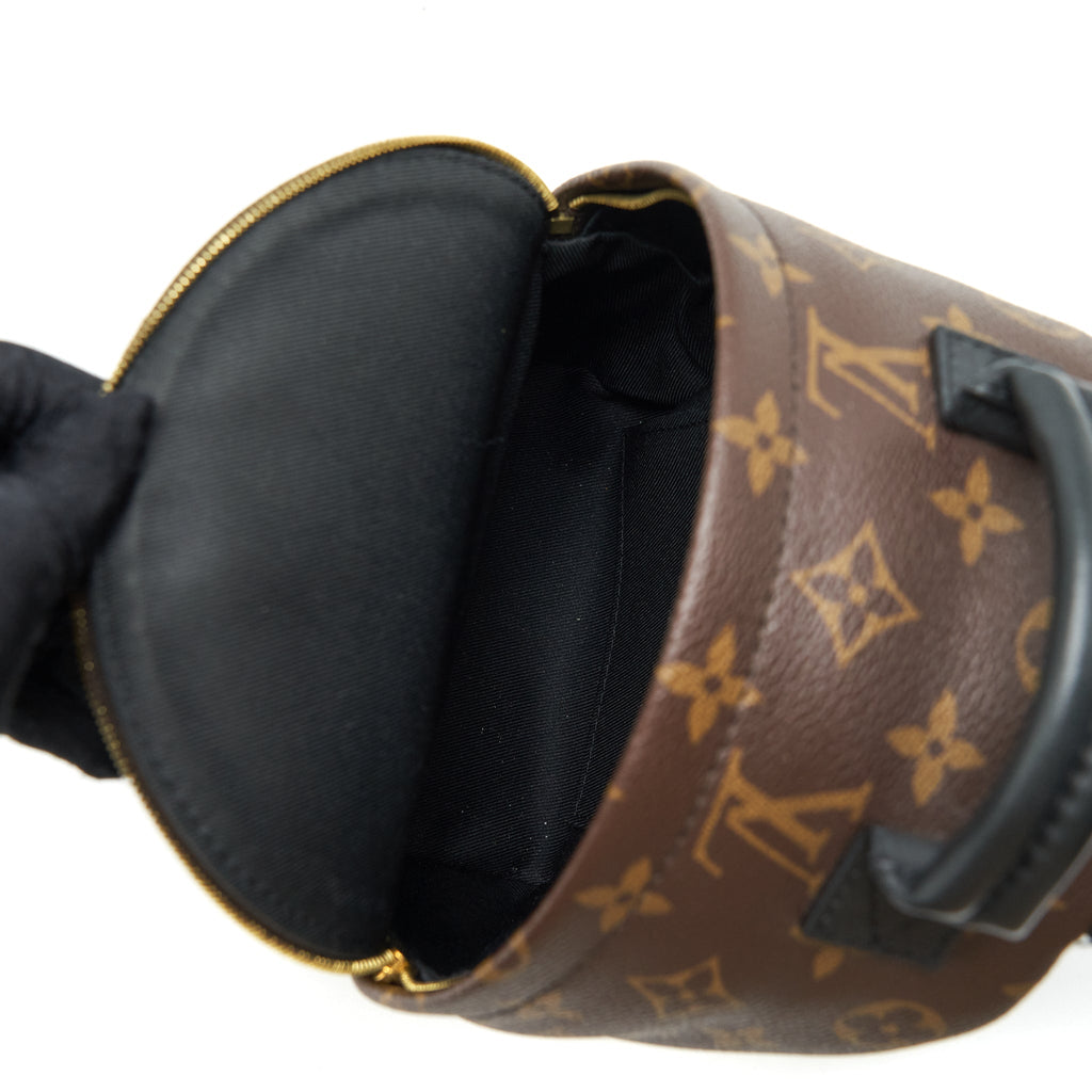 louis-vuitton-palm-spring-mini-backpack-monogram-canvas-ghw